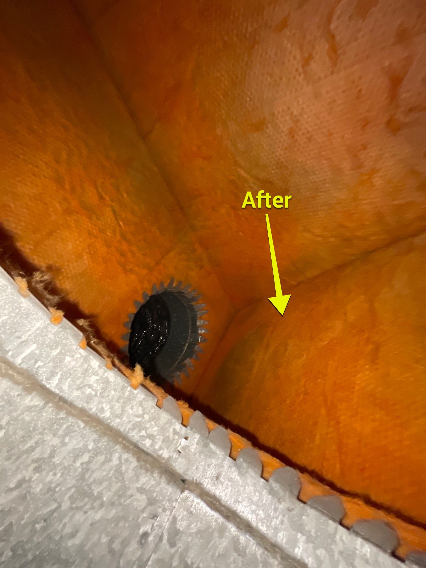 Air Duct Cleaning in Bartow by Hygienic Air, Inc