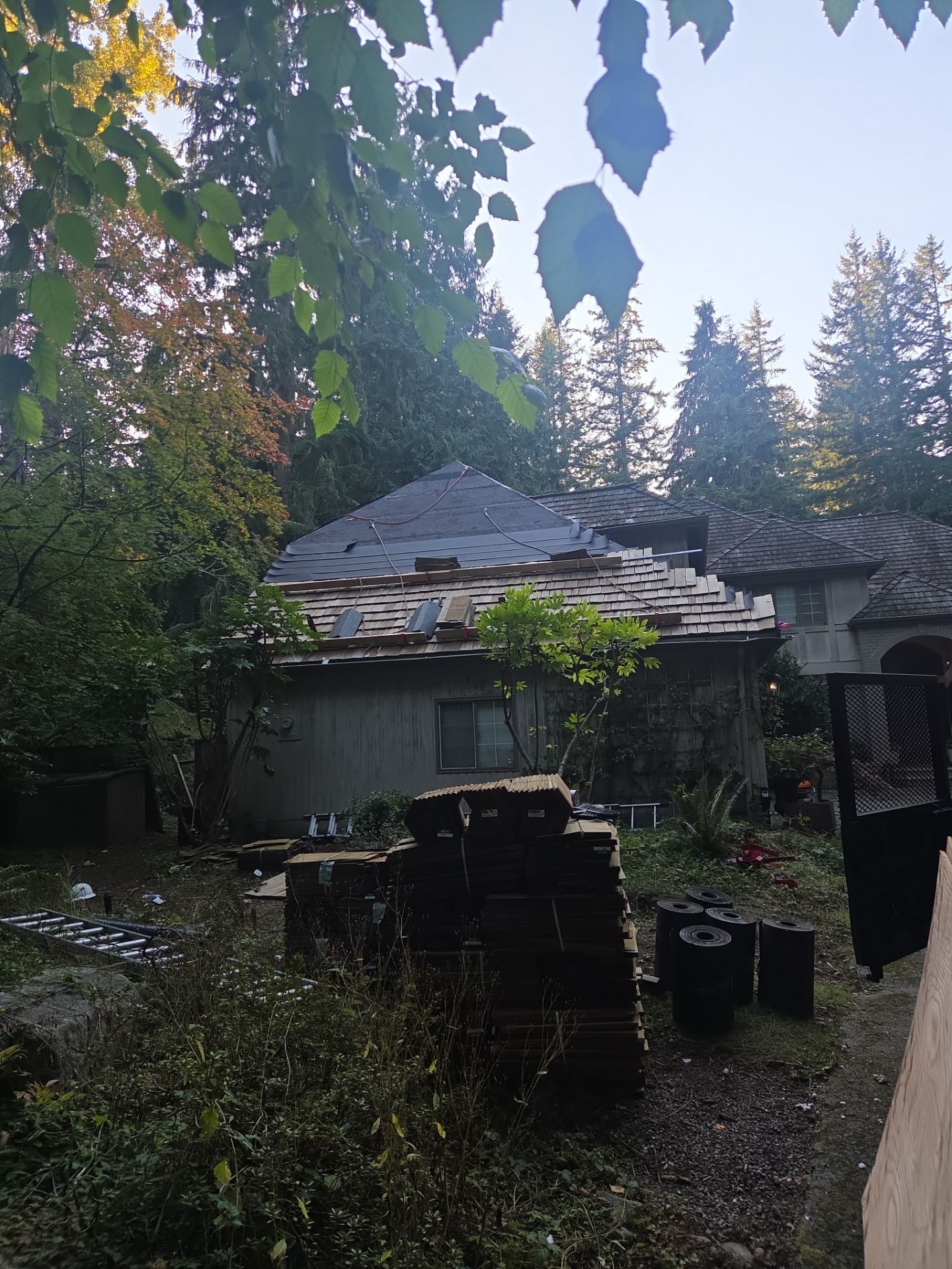 Tree Strike Repair - Issaquah by RoofSmart