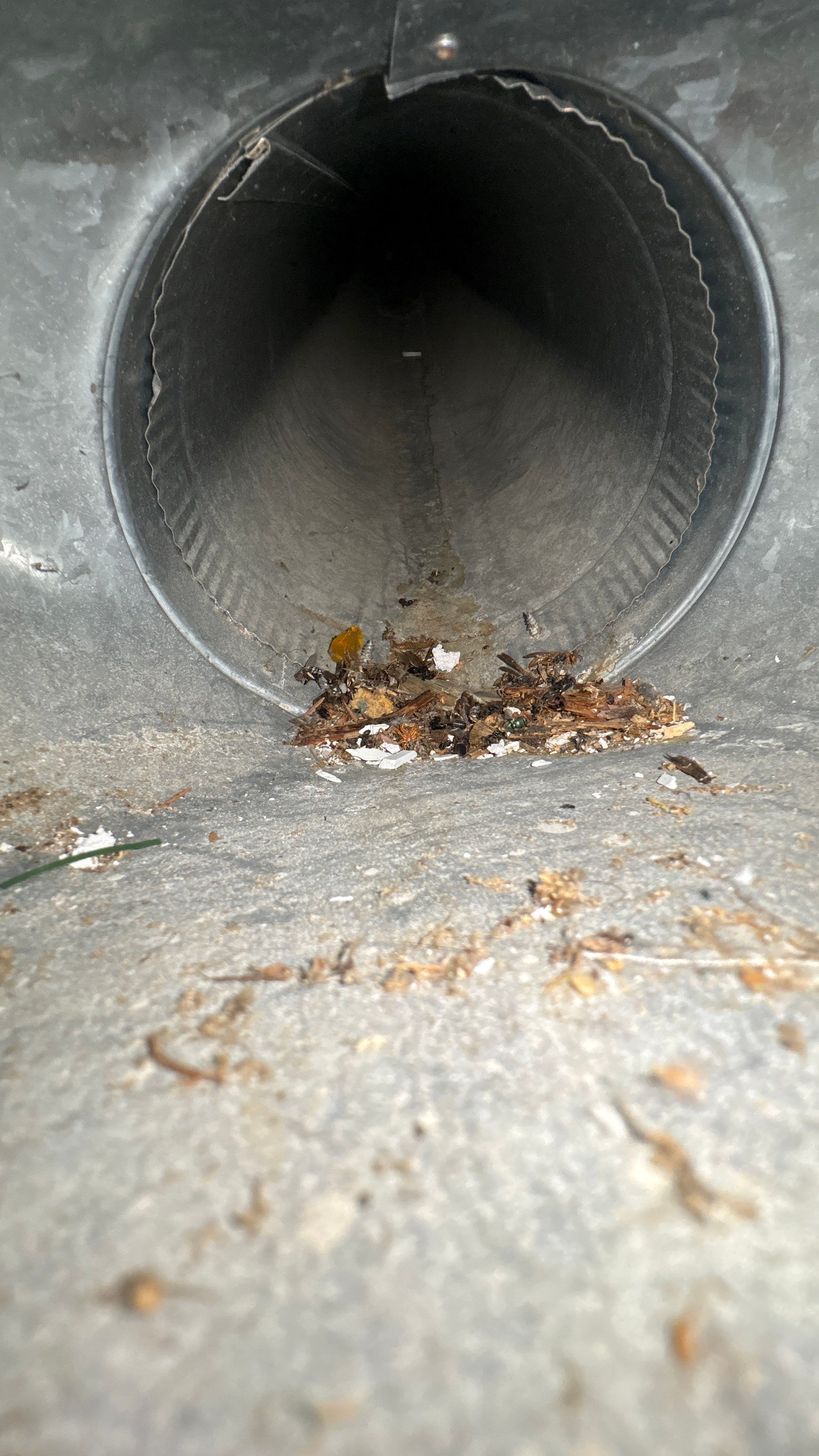 Air Duct Cleaning in McMurray, PA by Superior Air Duct Cleaning