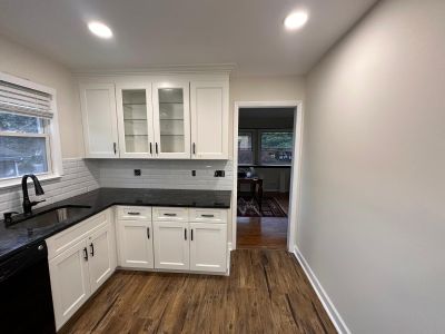 Kitchen Remodel using Cabinets