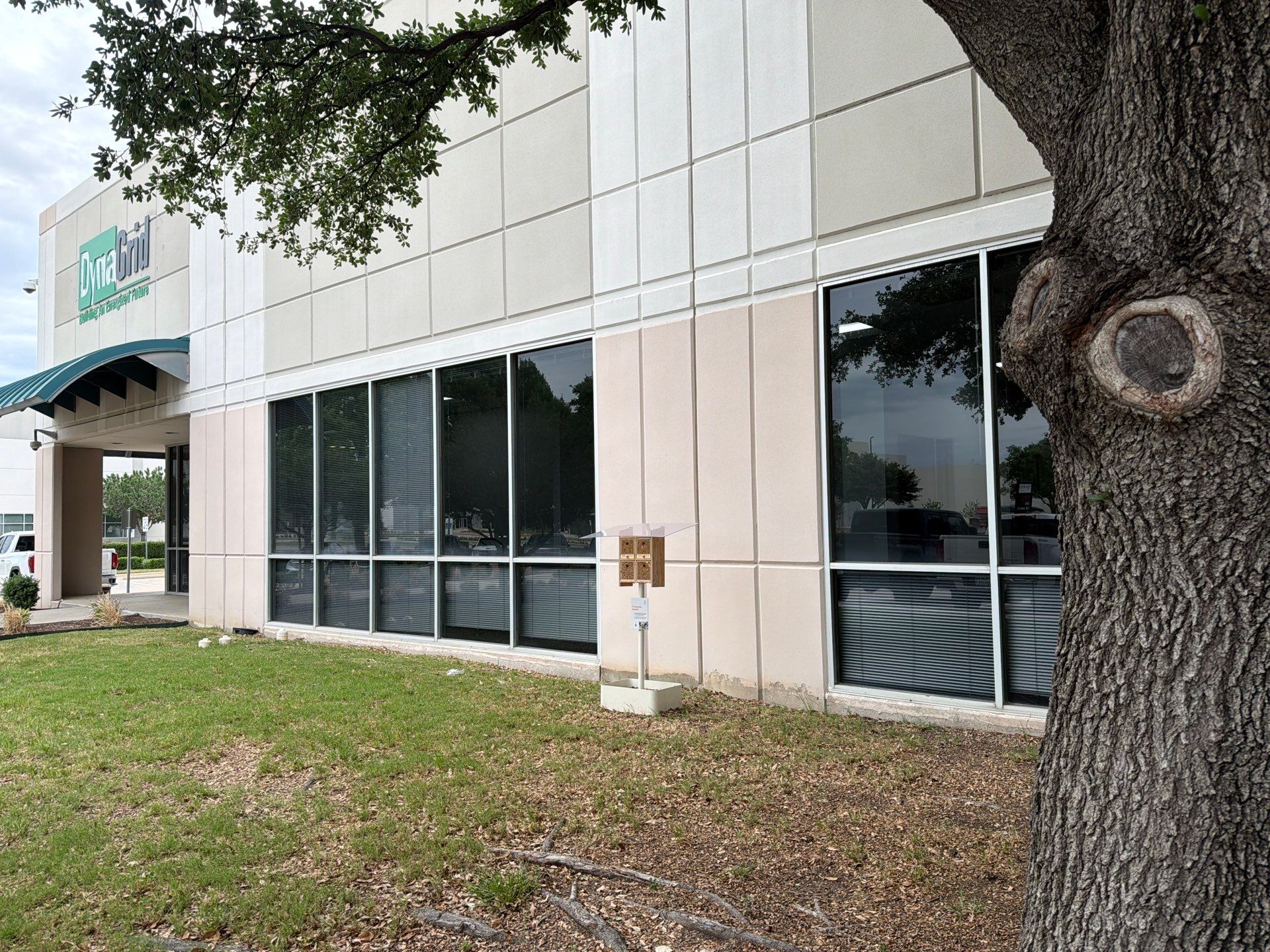 Commercial Rooftop Colony by Rockwall Honey Bee Company