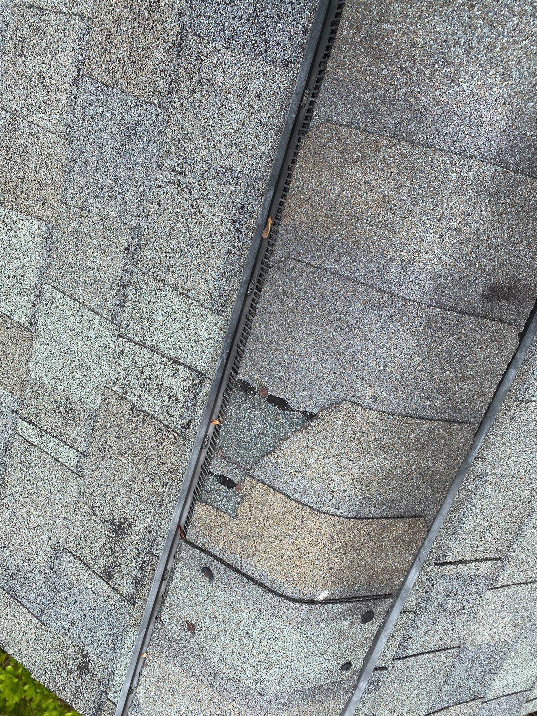 Alexandria: CertainTeed Landmark Pro Designer Shingles in Max Def Colonial Slate by RM Banning, Inc.