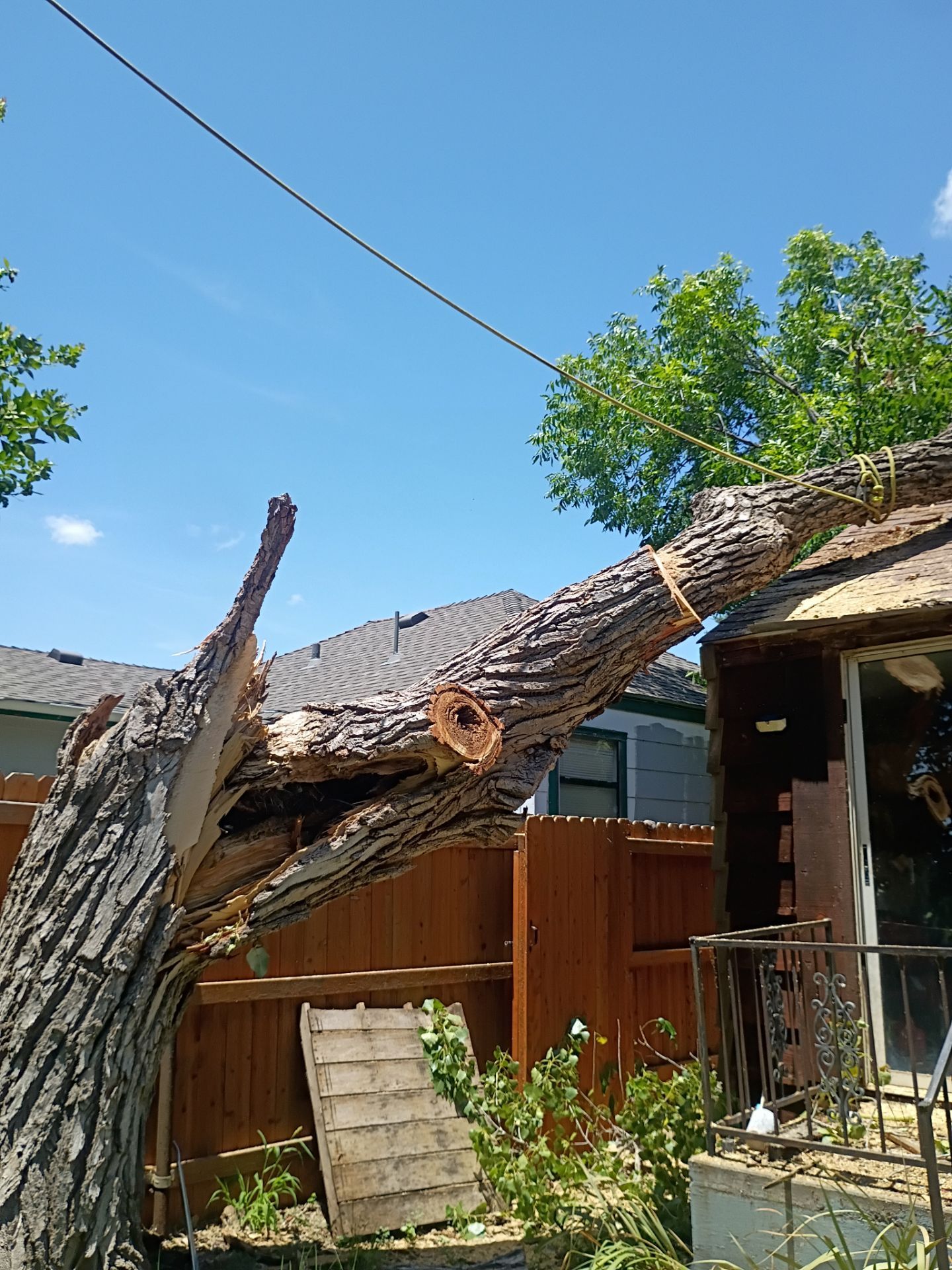 Dangerous Tree Tree Removal  by Clays Services Inc