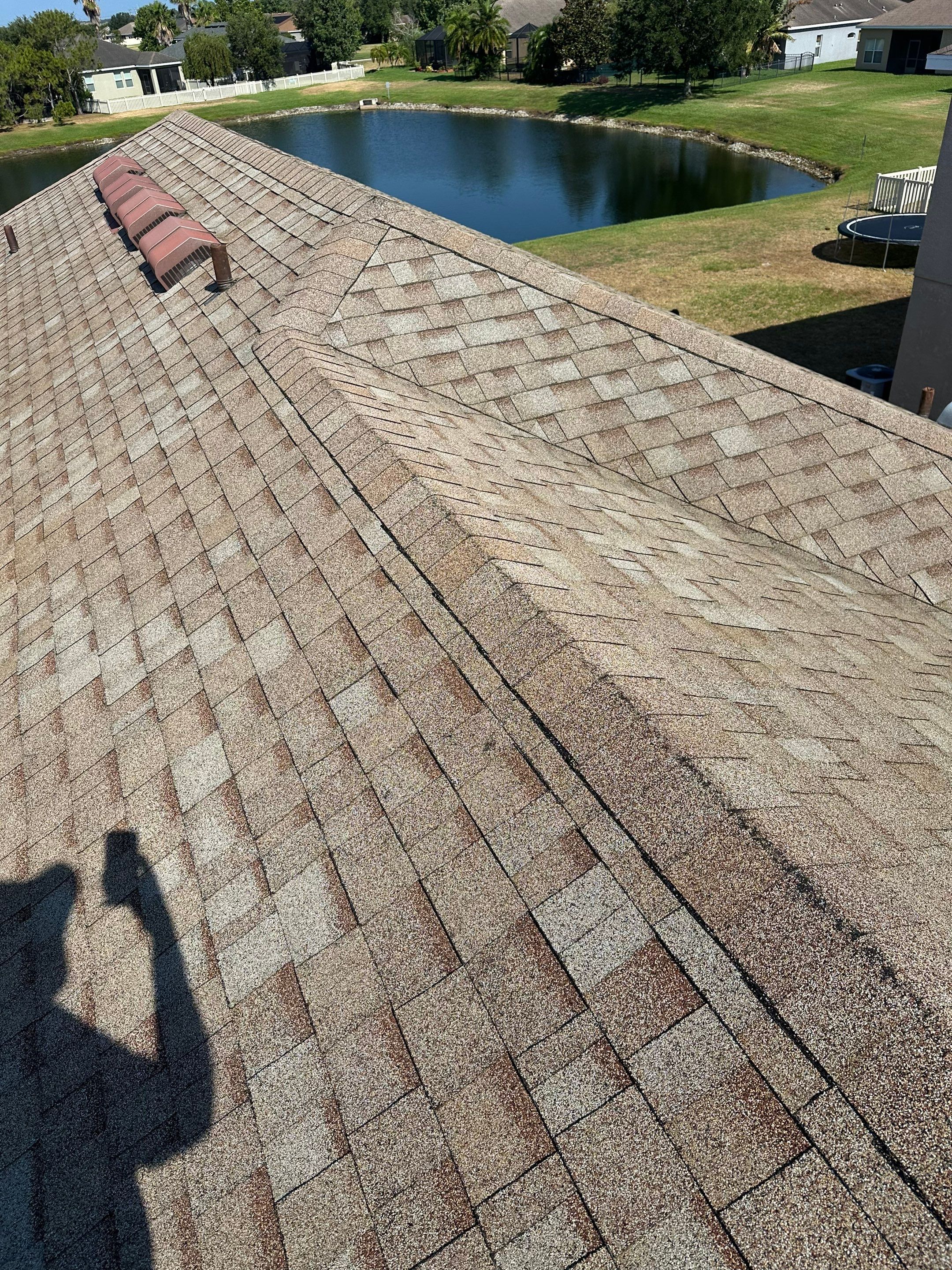 Asphalt Shingle Roof Soft Wash Cleaning & Concrete Pressure Washing in CopperStone Community, Parrish, FL by Sunshine AquaWash