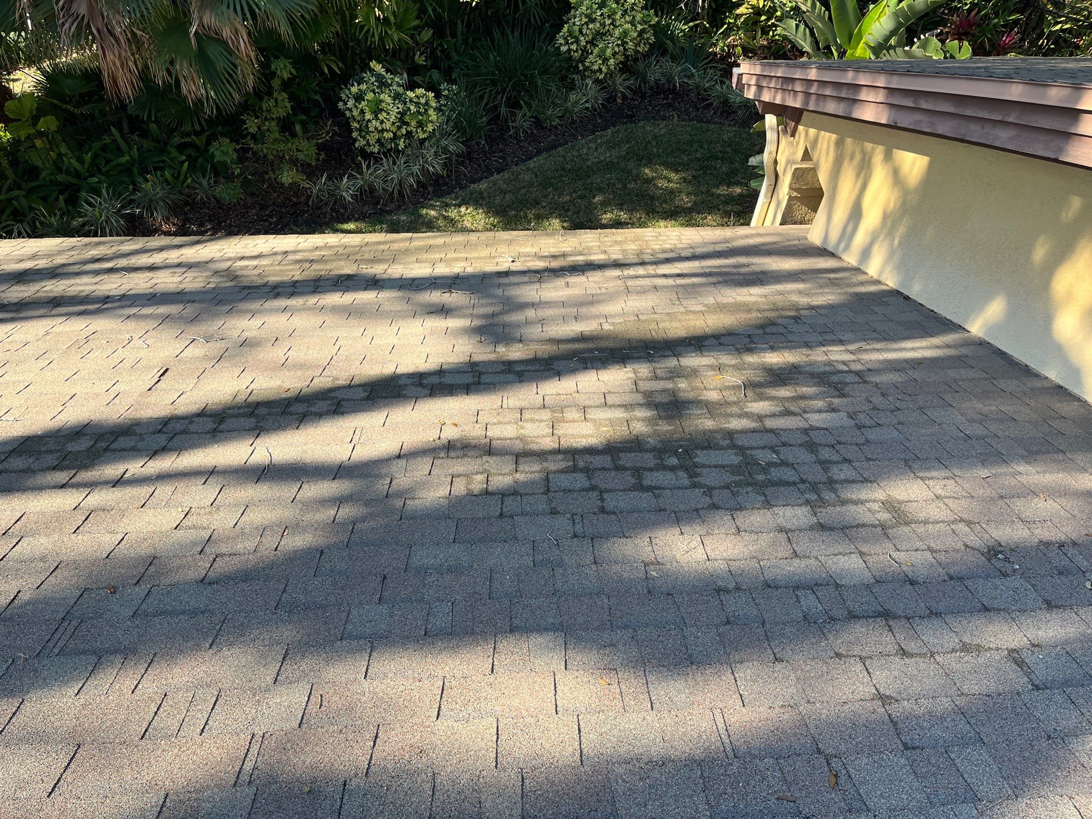 Shingle -> Shingle by Prime Roofing