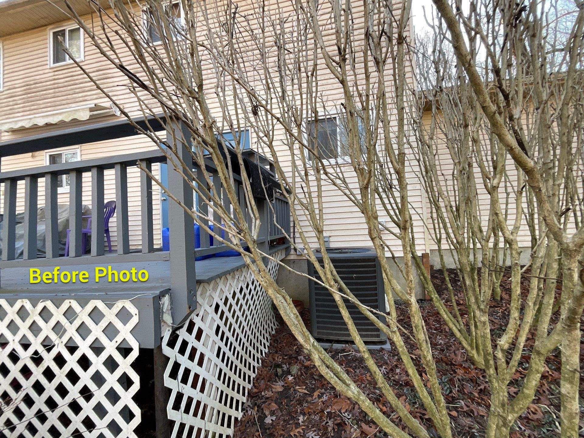 New Screen in cover porch  by Alpha Design Services