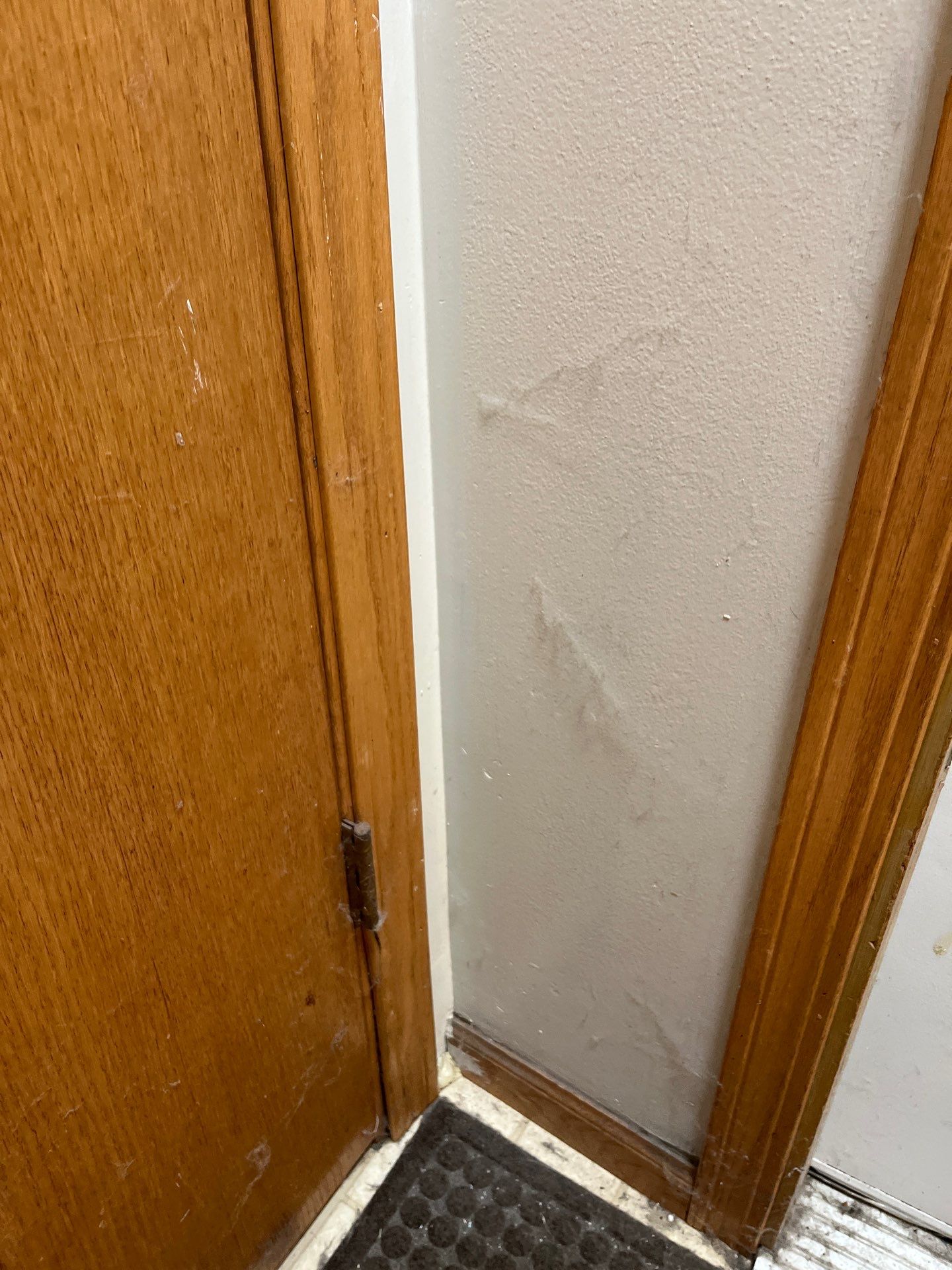 Project in Chicago by Xo Clean Services 