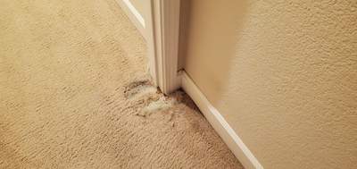 Repair of Cat-scratched Carpet