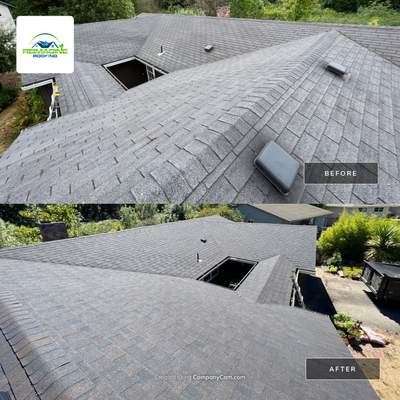 Black Sable Shingles