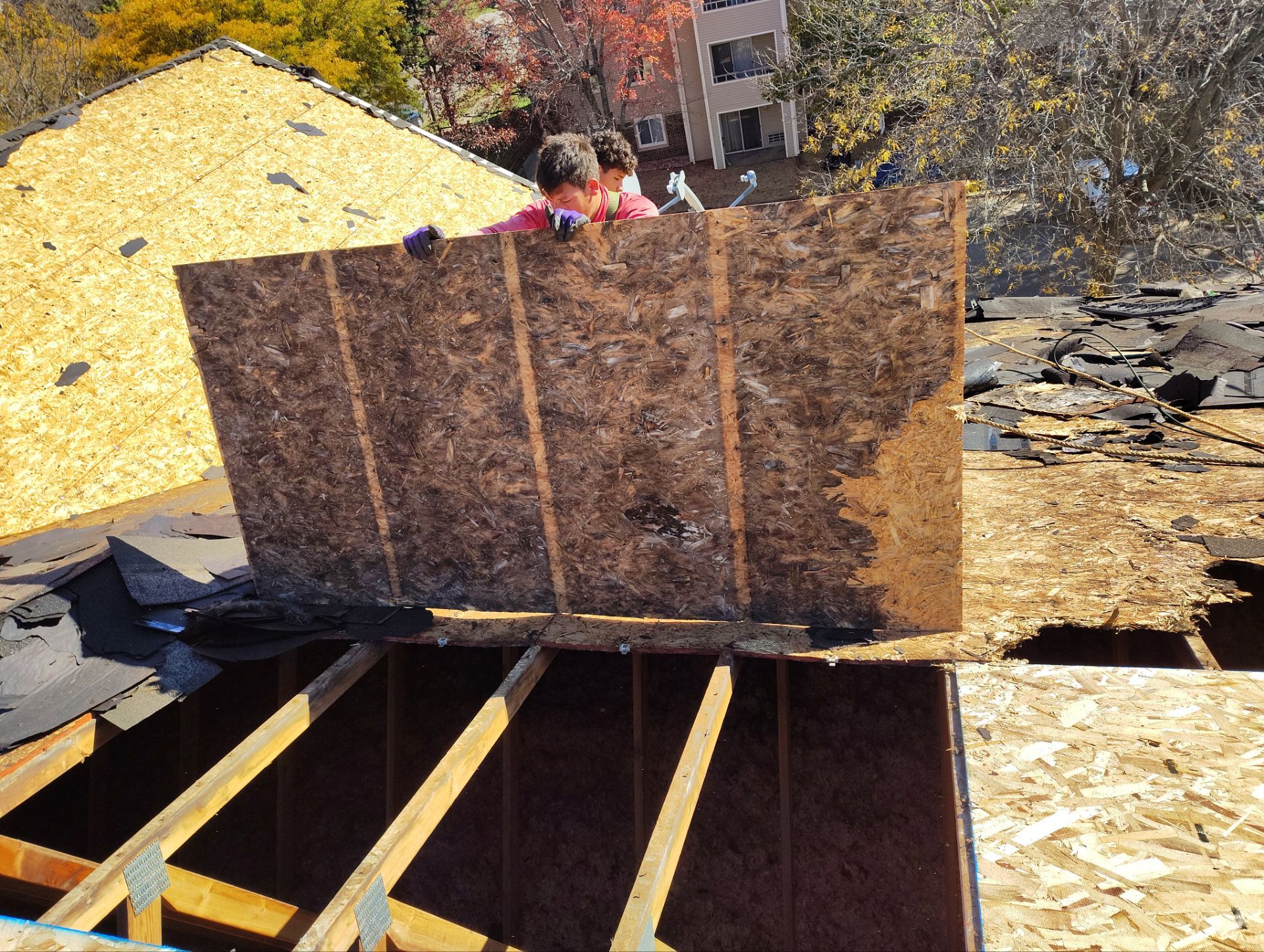 HVG 1144 by AFC Exteriors