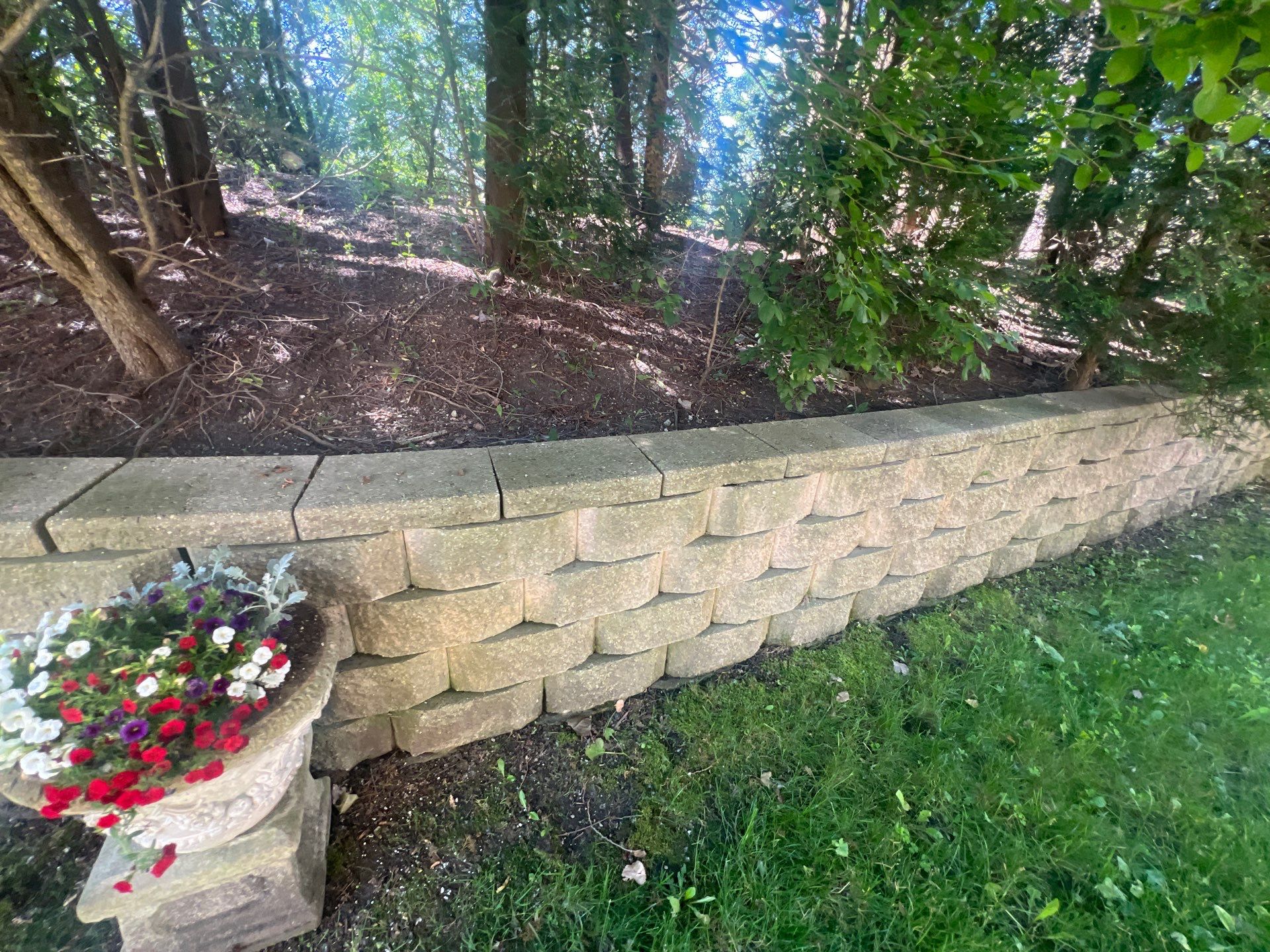 concrete cleaning using Algaecide, soft wash soap by Northern Power Washing LLC.