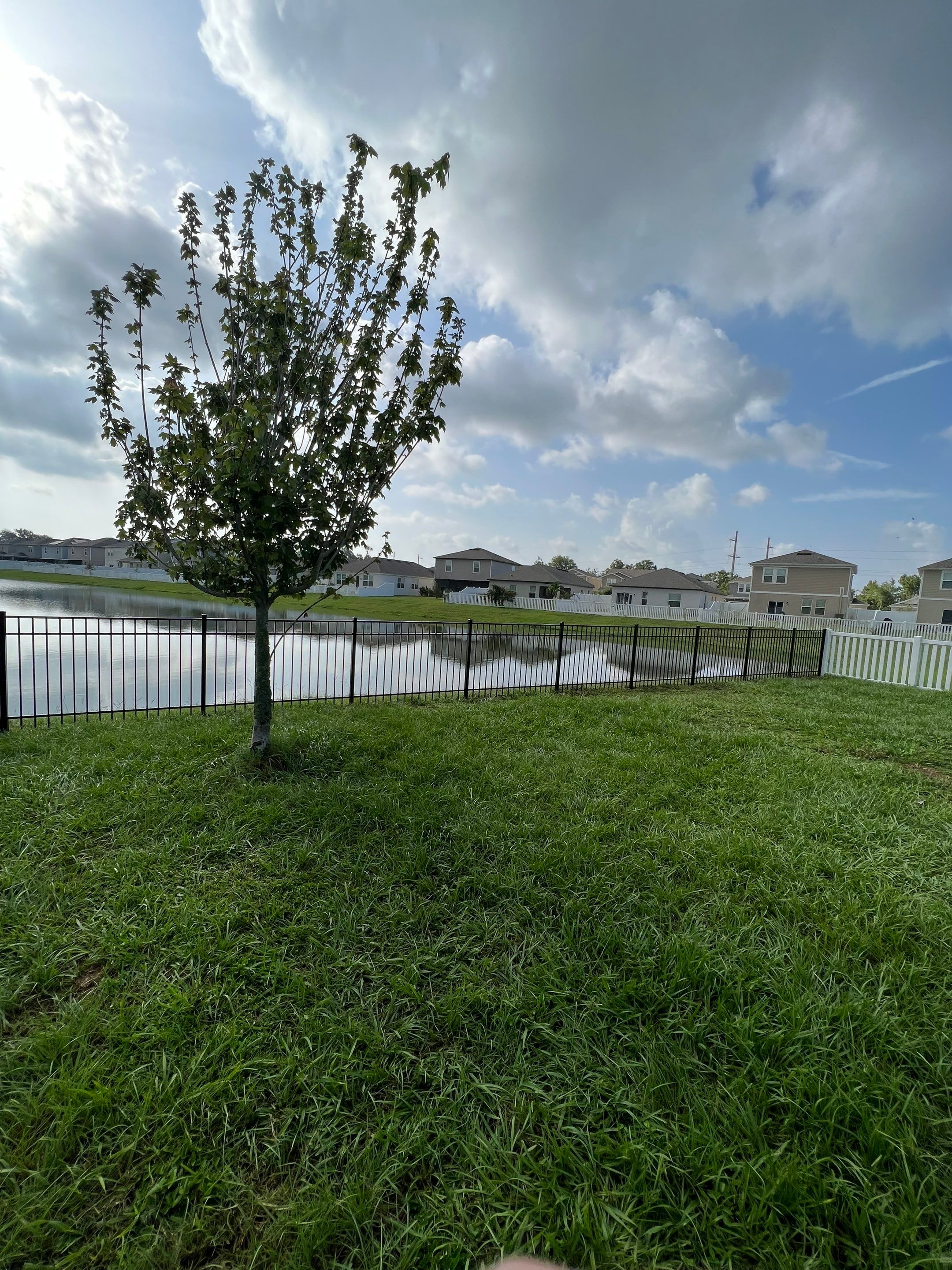 3-Rail  using Black 3 Rail Aluminum Fence by Asap fence and gates, LLC
