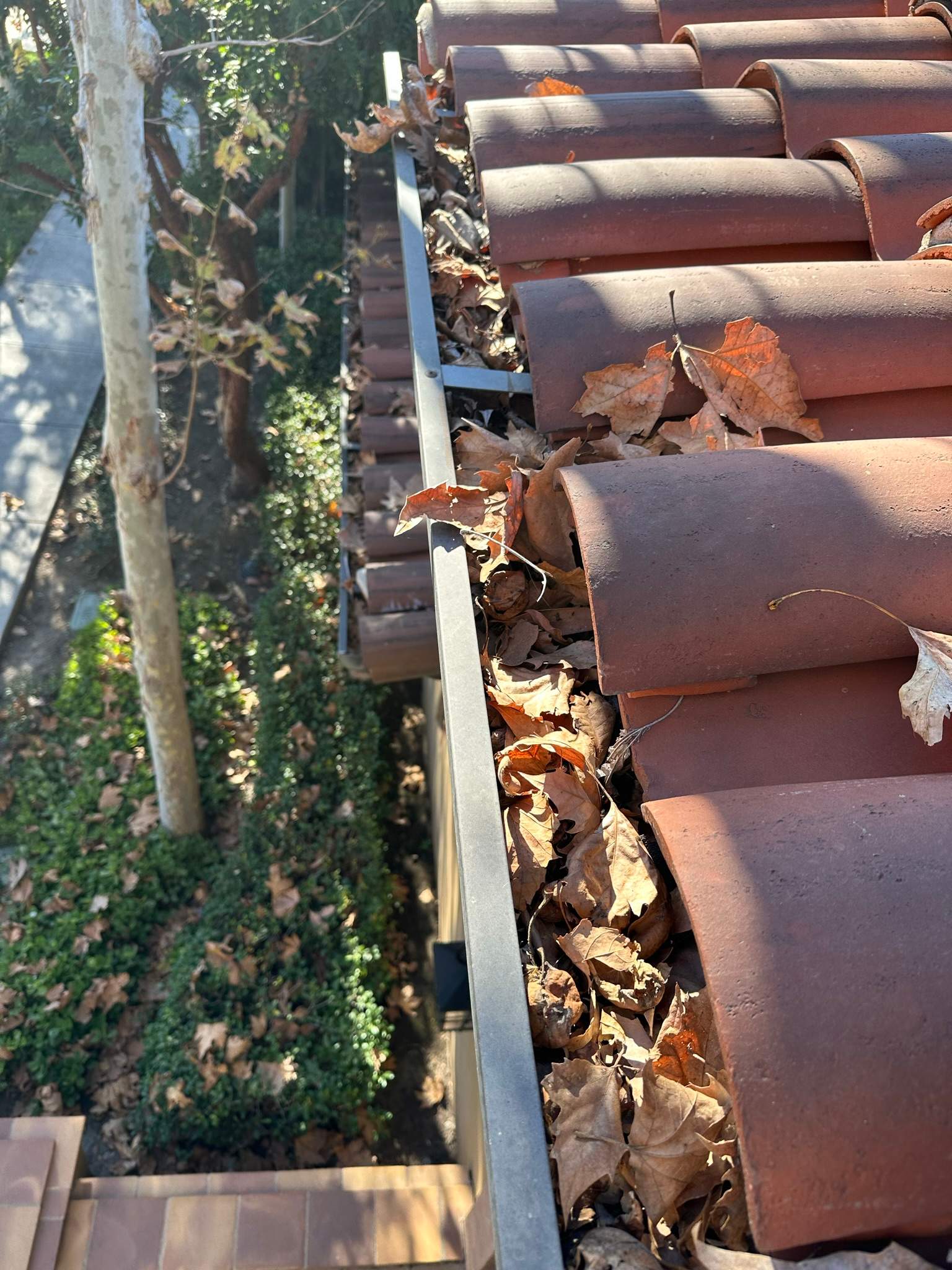 Orange County Gutter Cleaning by Property Cleaning Experts