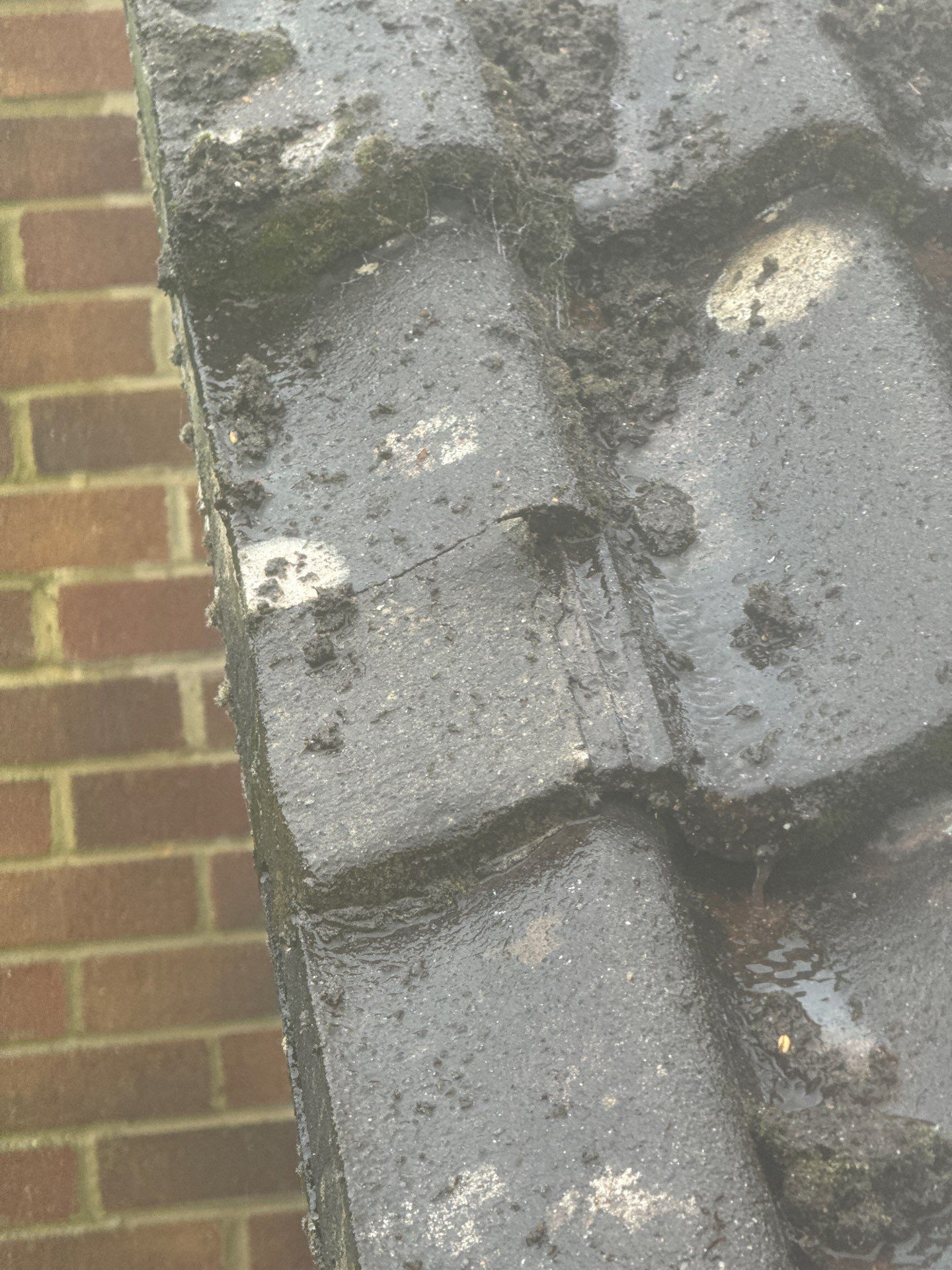 Roof Clean - Biocide Treatment using Honda 15lpm Low Pressure Washing Machine by Ges Exterior Cleaning ltd