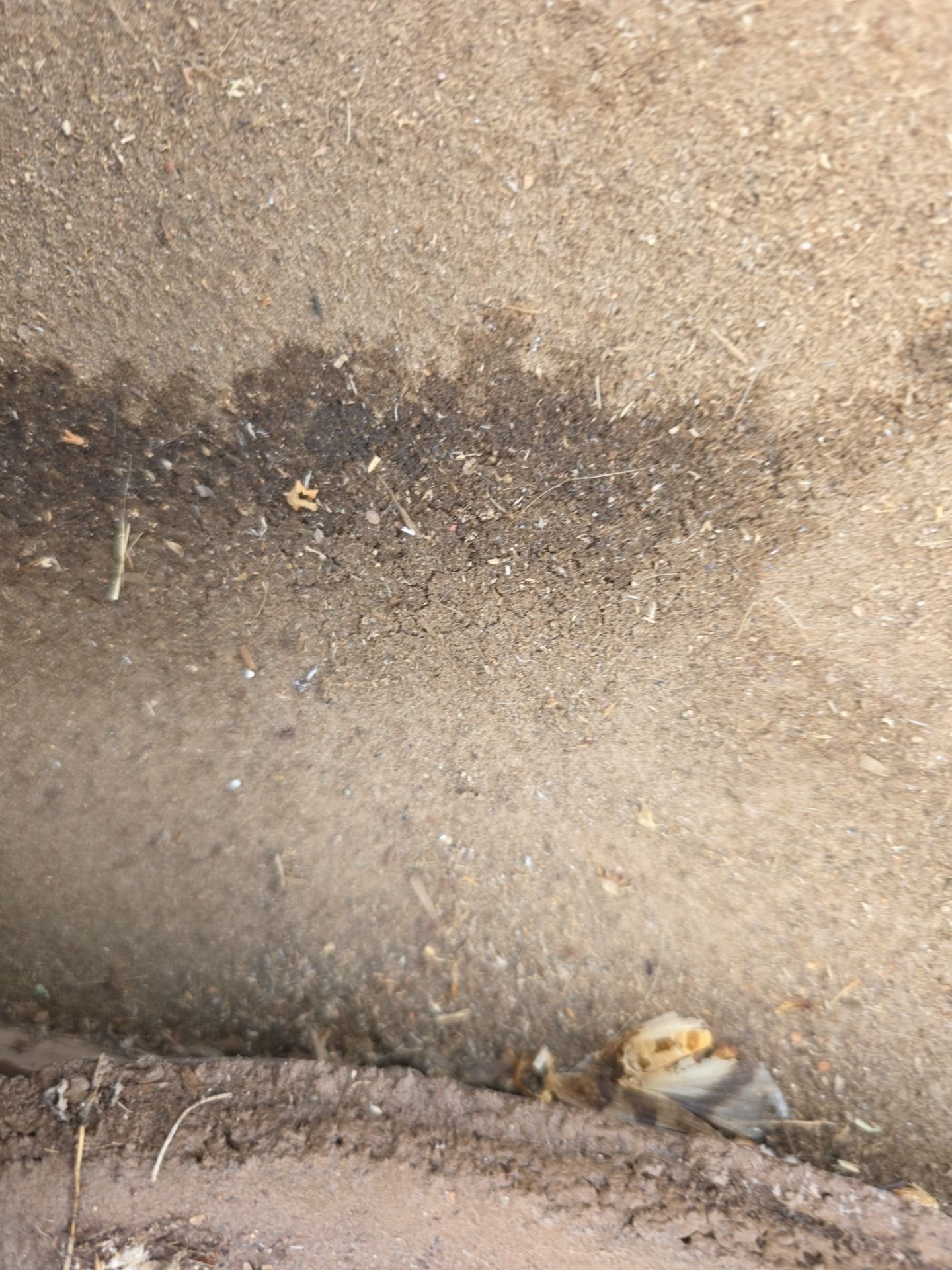 Protect Your Investment: Arizona Roofing Company's Expertise at Work! by Weather-Tite Roofing