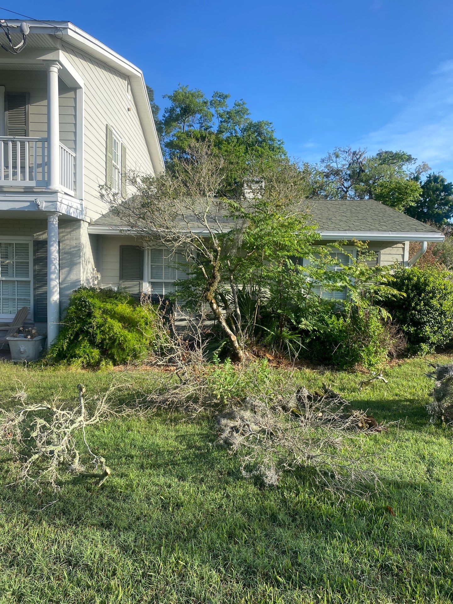 Residential | Tree Removal & Trimming by ProGreen Services