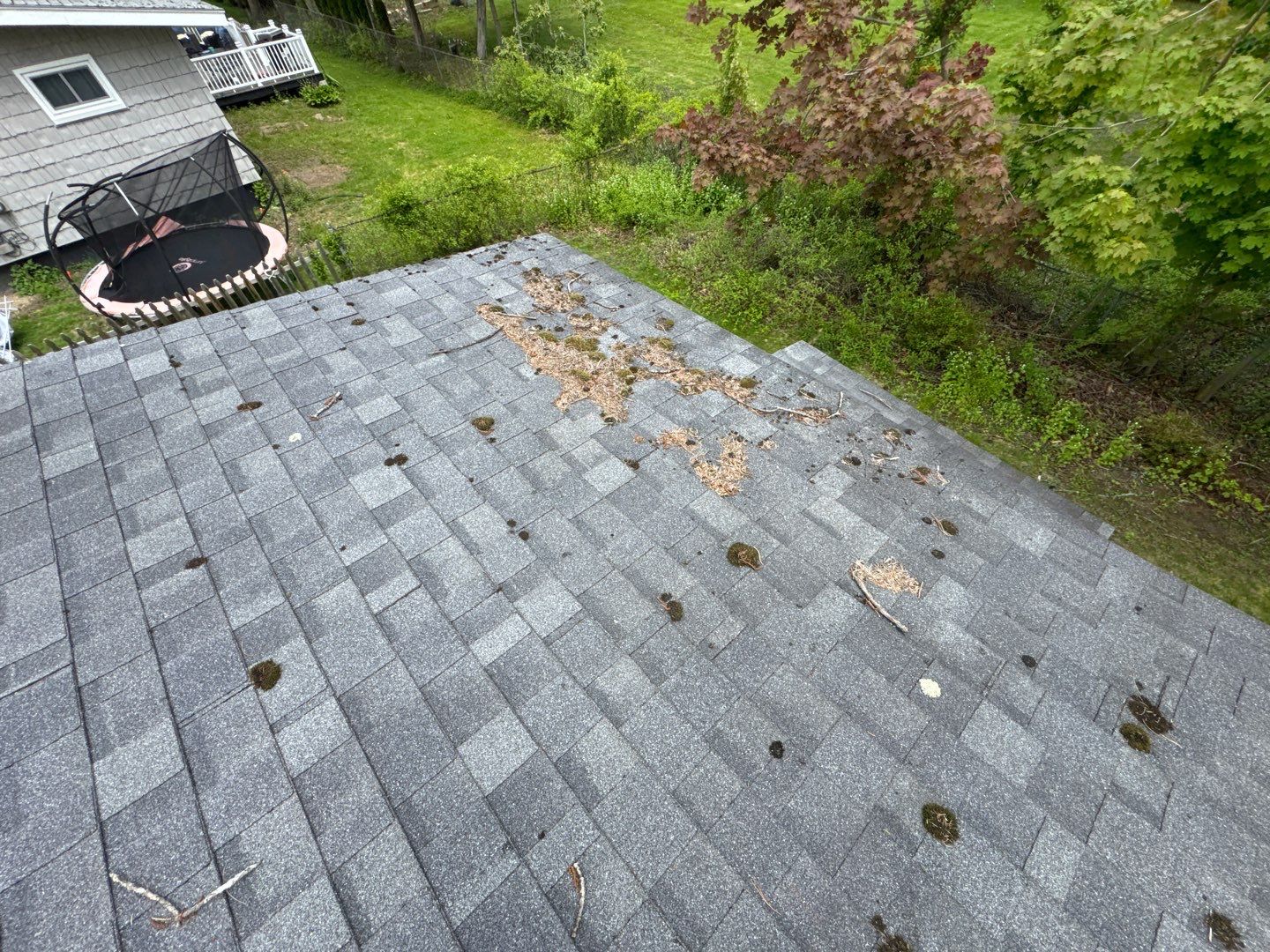 Full Roof Replacement & Rear Porch Makeover – A Stunning Transformation! by Sensible Home Solutions