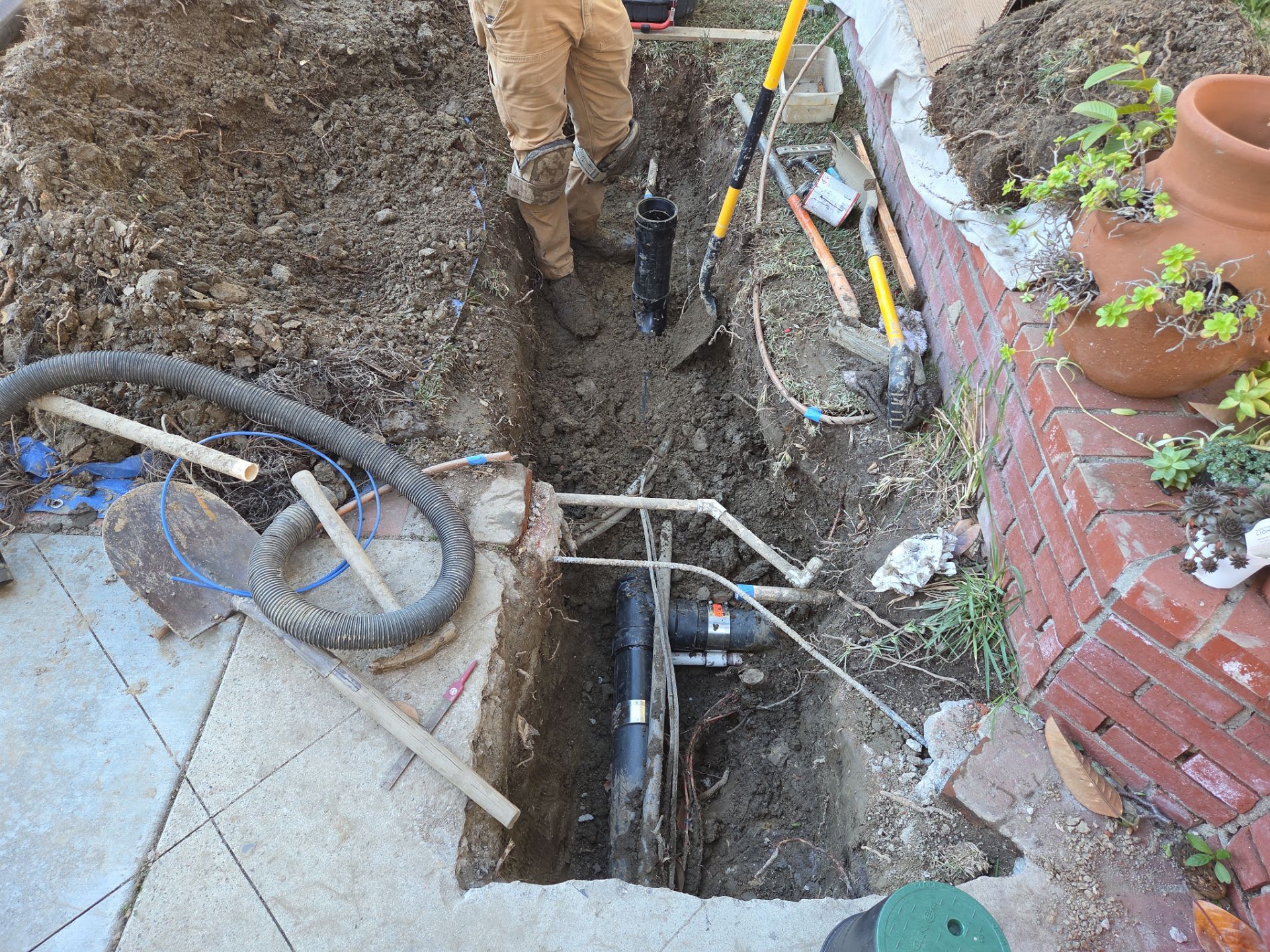 Area Drain Root Intrusion by Professional Plumbing Inc 