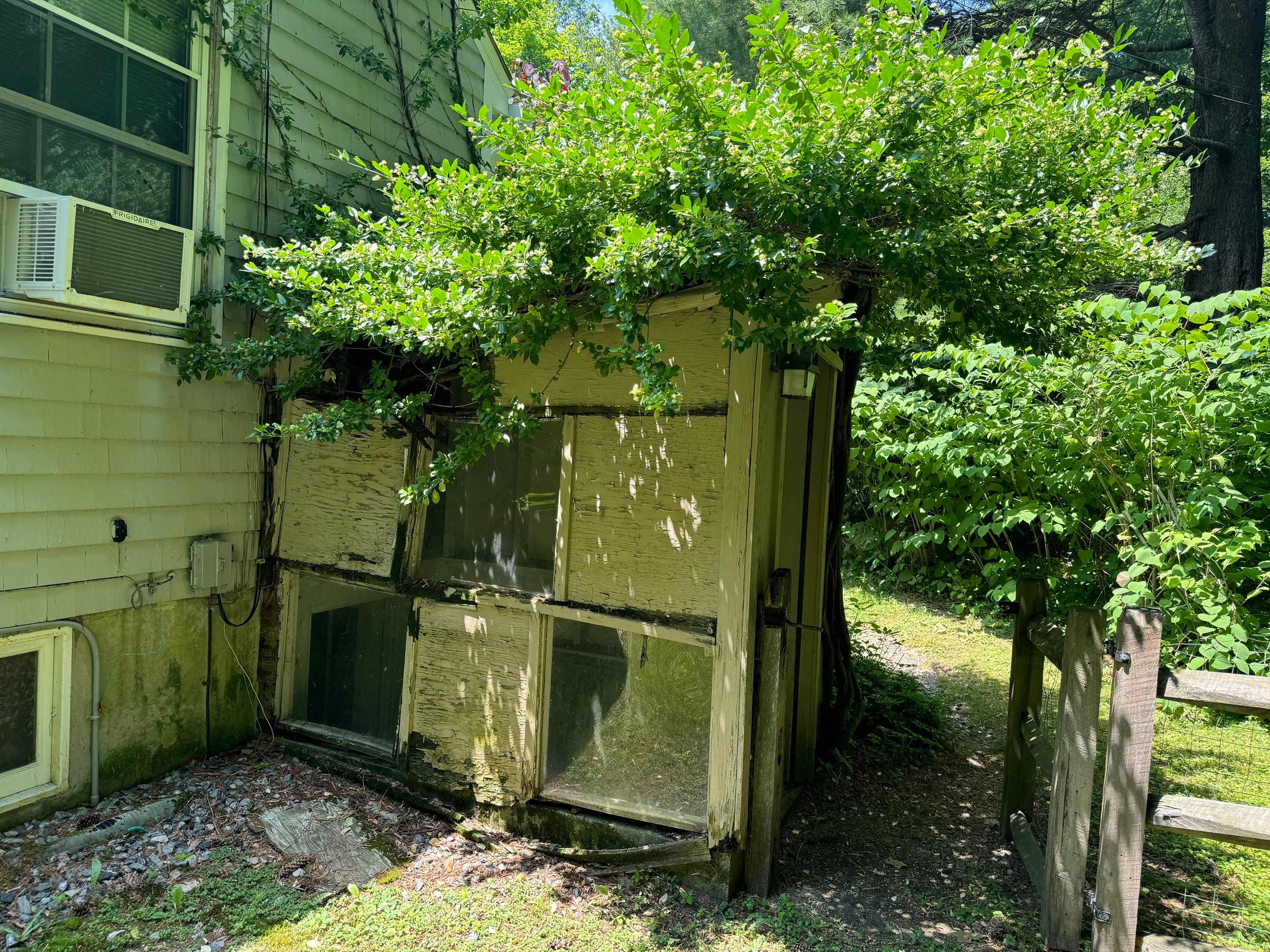 Basement Mold Remediation by Home Guarantee, LLC