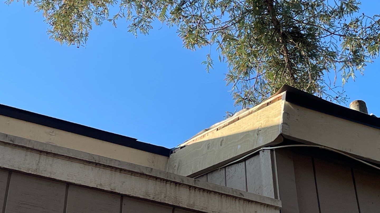 Removed tile from roof and replaced with shingles by Straight Edge Roofing Inc