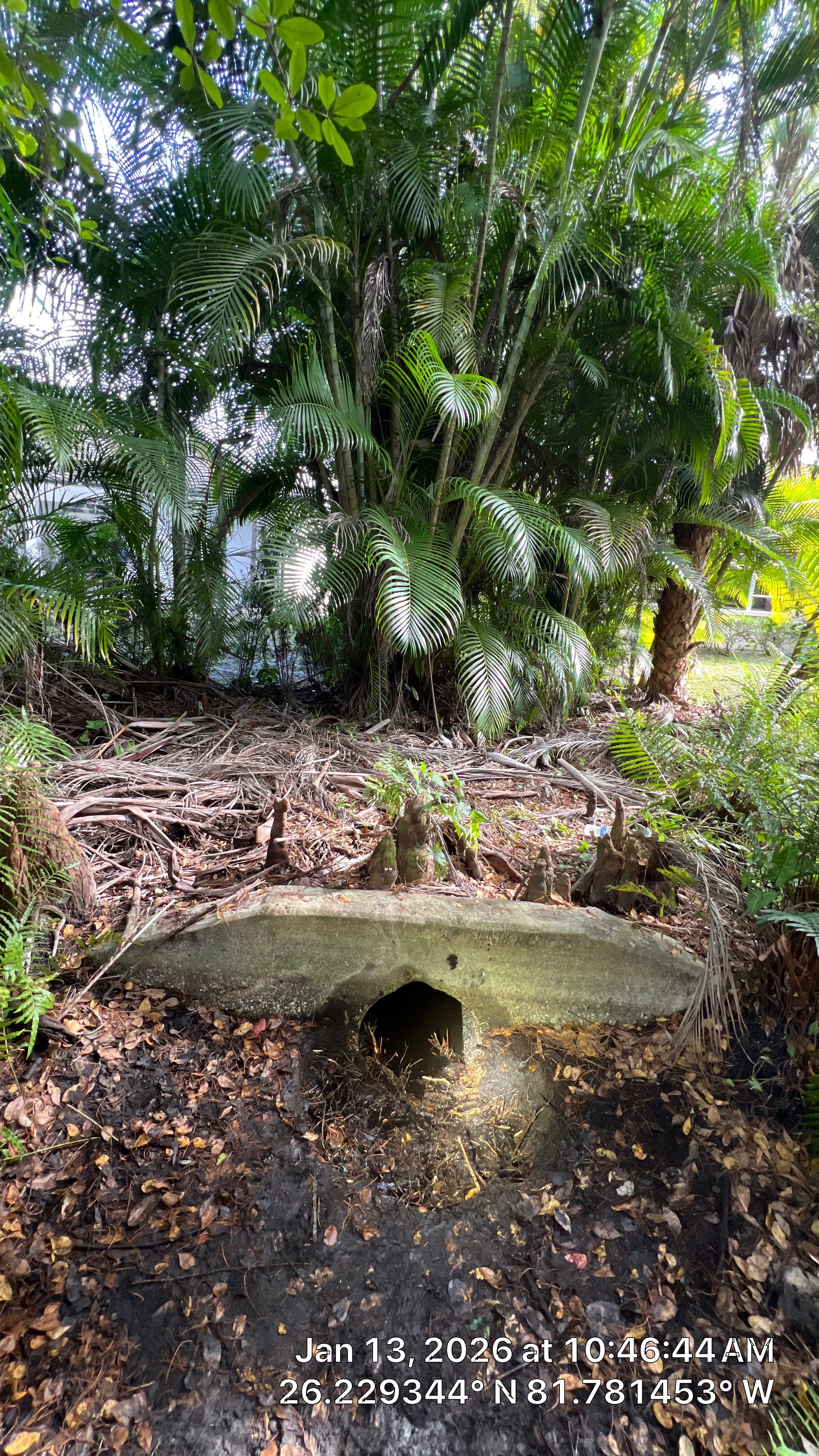 Naples Community Root Intrusion Investigation with P.R.S. by APS Power & Water