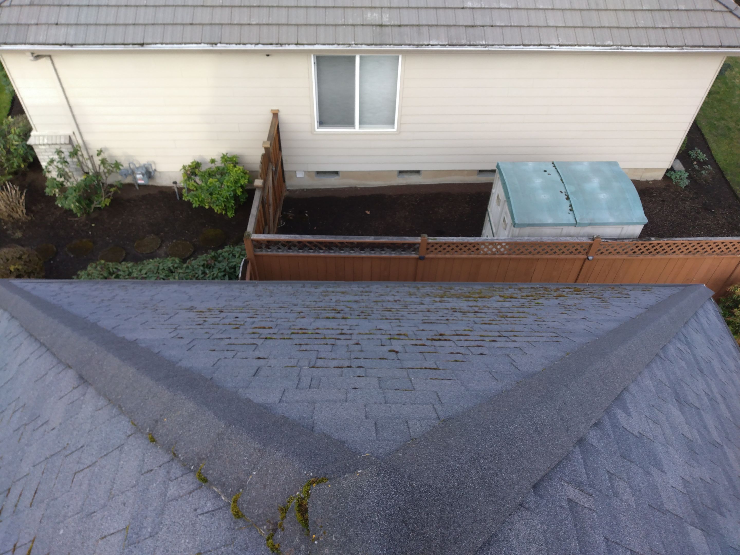Roof Cleaning  using Moss Treatment  by BEST Roofing & Waterproofing