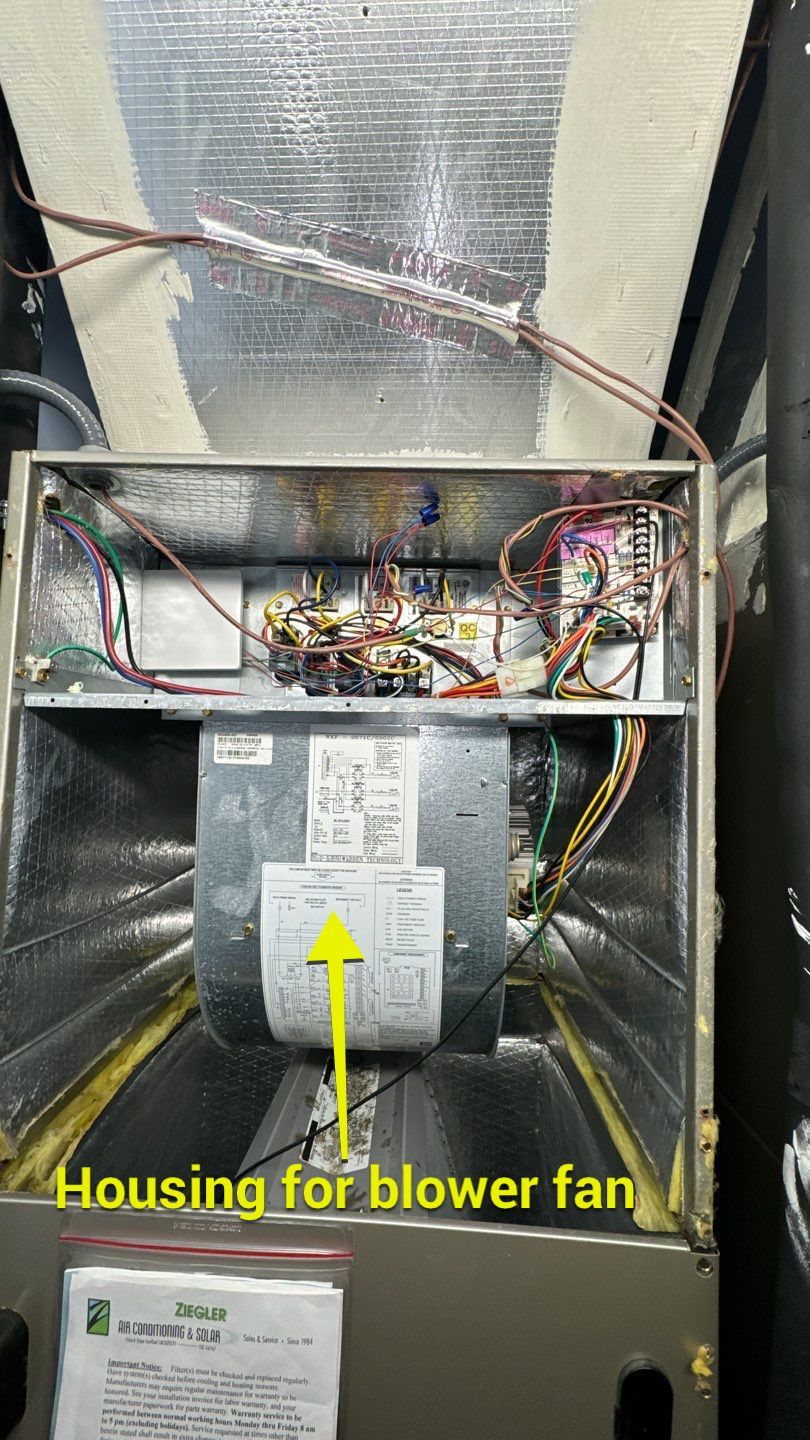 Commercial Air Duct Cleaning in Clermont by Hygienic Air, Inc