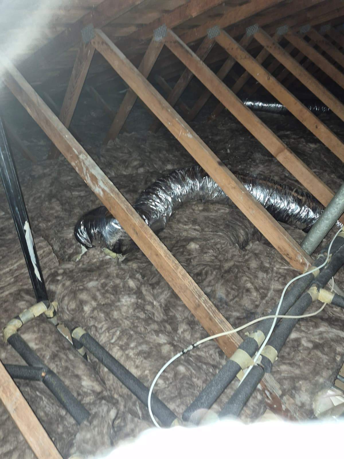 Project by Advanced Attic Solutions by Advanced Attic Solutions