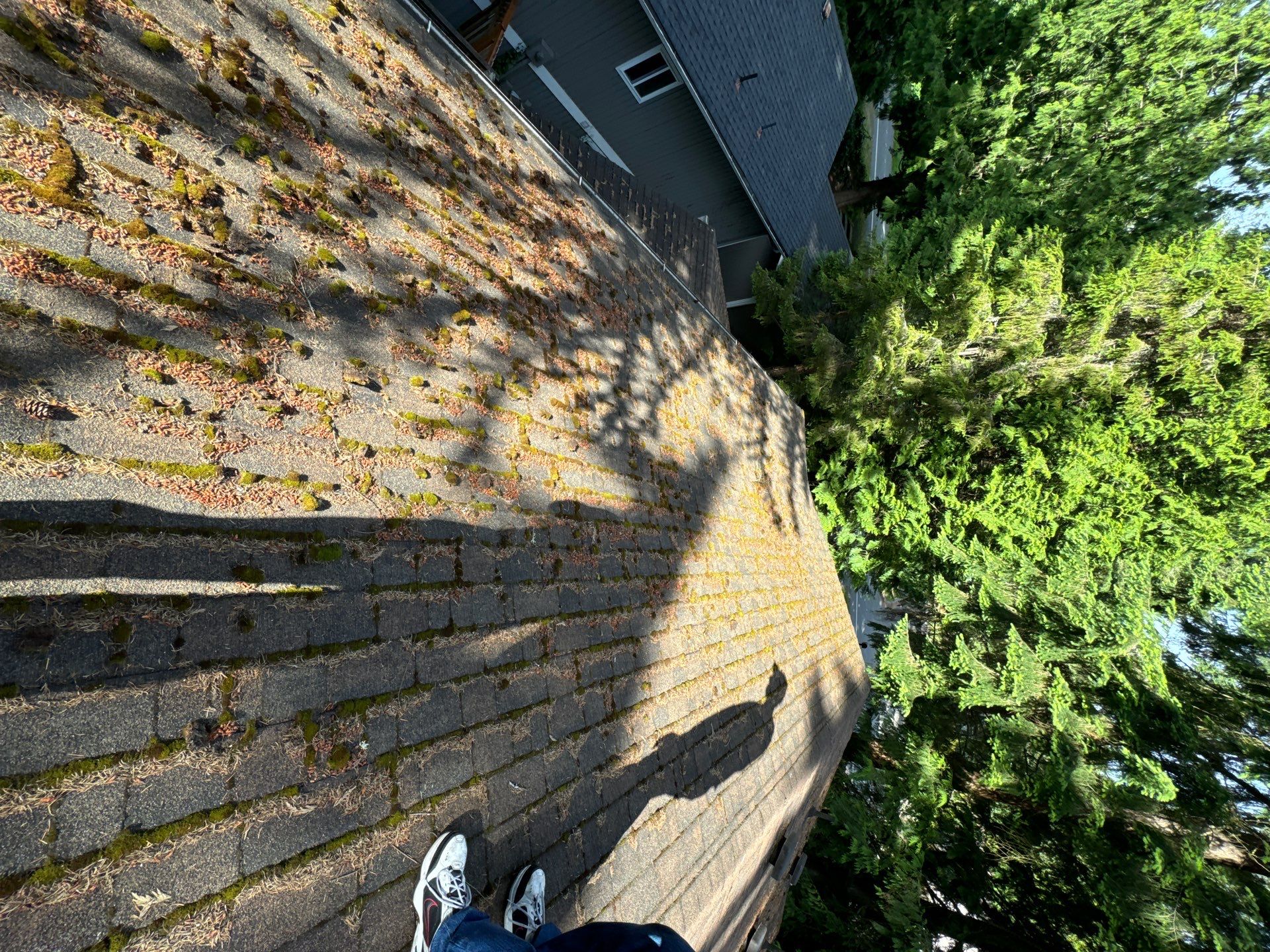 Project in Edmonds by Peaks and Valleys Construction