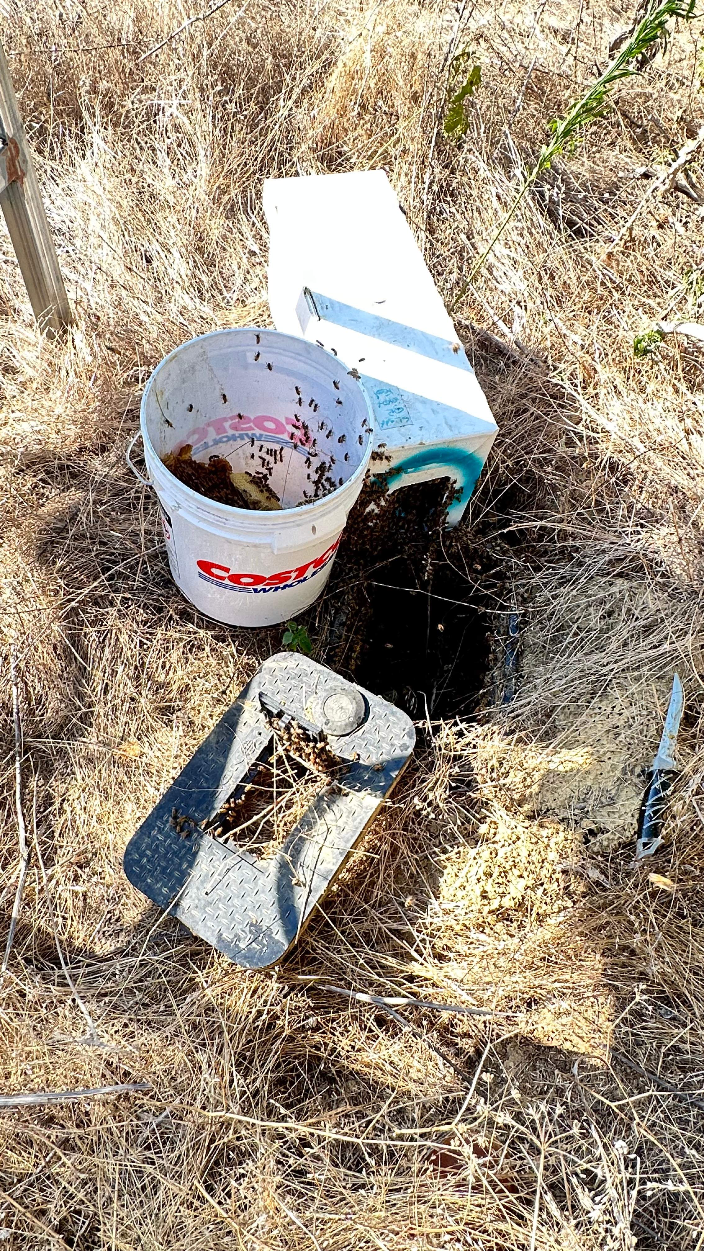 Well Meter by Rockwall Honey Bee Company