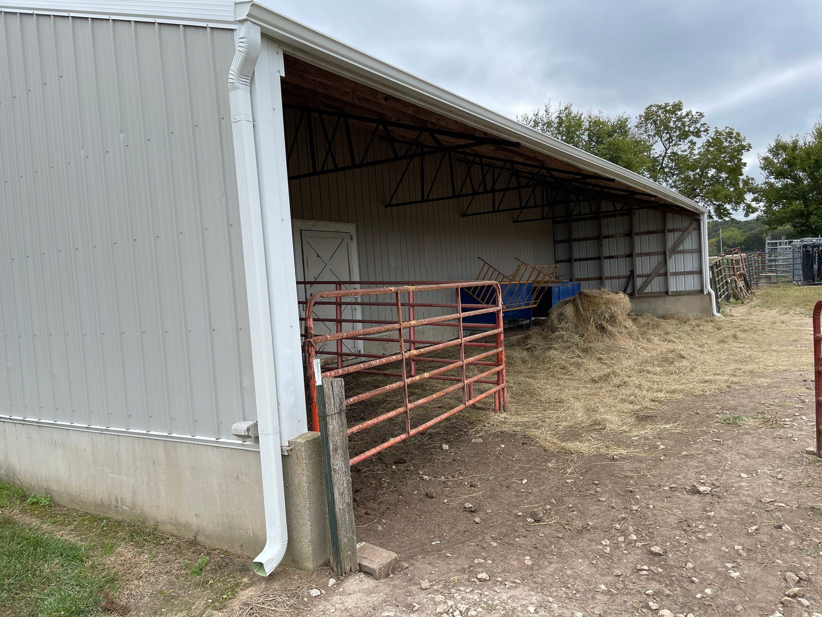 Metal Roof + Gutters & Downspouts Replacement  by Titan Commercial & Residential Roofing 