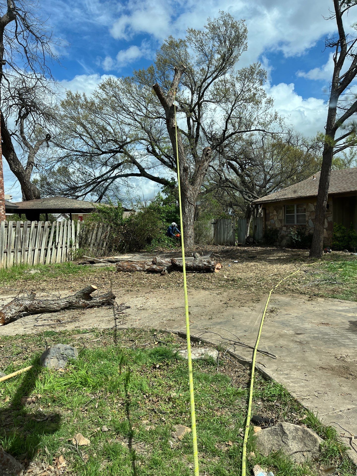 Tree Removal by Clays Services Inc