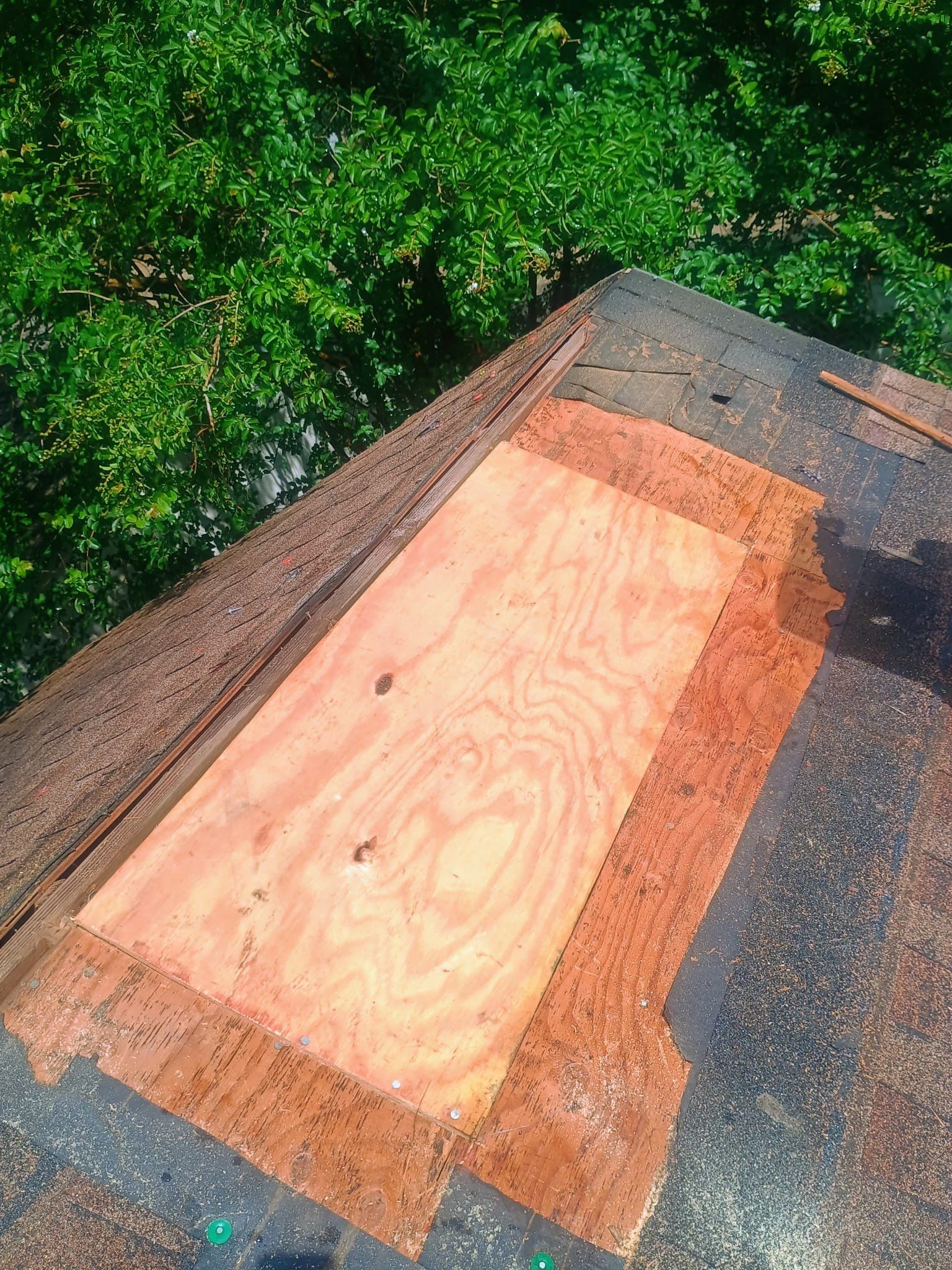 Roof Repair Spring by Roof Repair Company