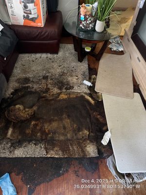 Biohazard Cleanup