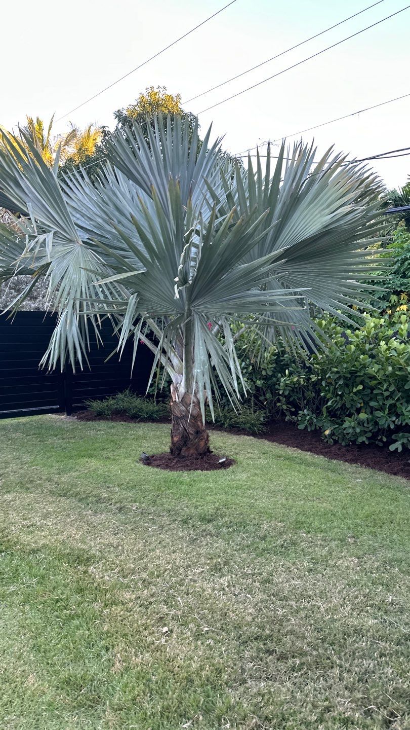 Pinecrest Landscape Upgrade from Minimum Requirements by Nature's Dream Landscape and Tree Service