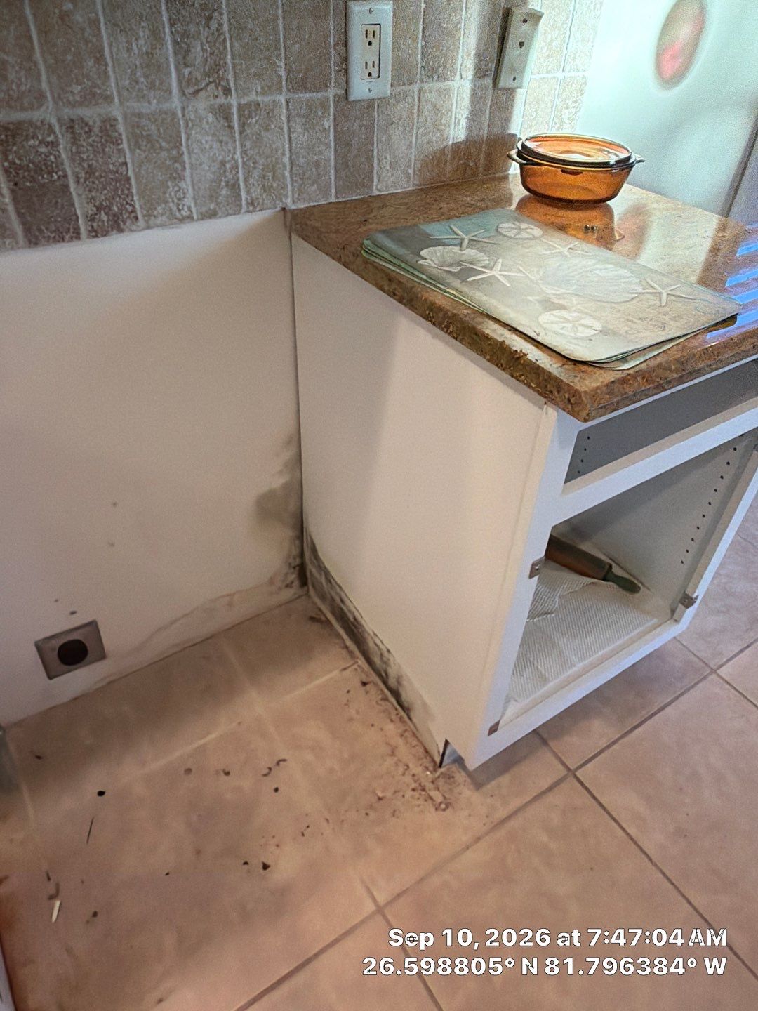 Fort Myers Water Damage Restoration and Professional Mold Remediation by Microscope
