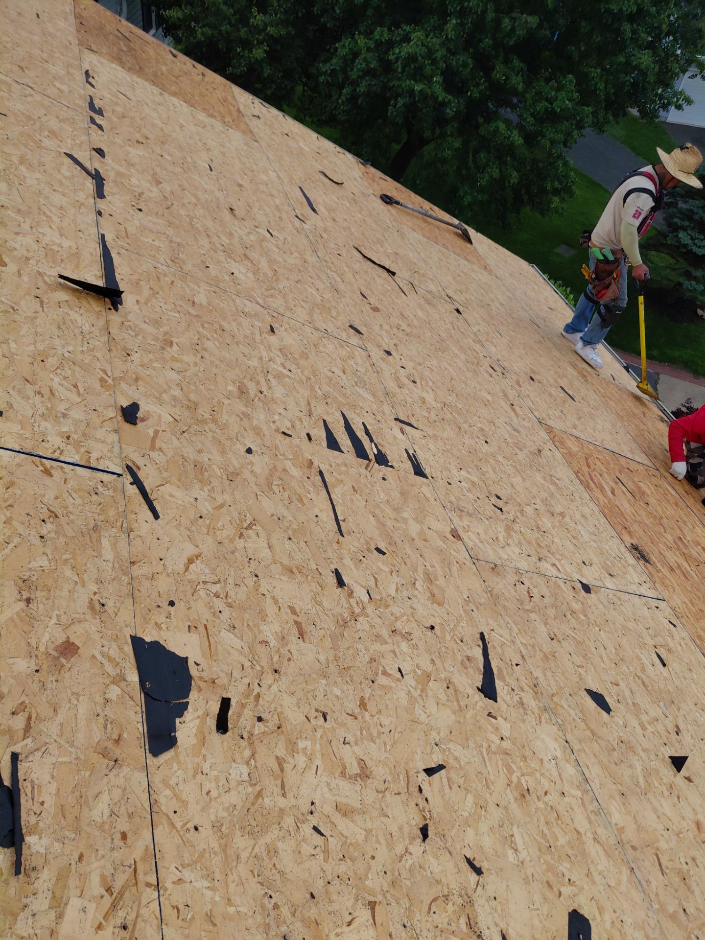 Fairfax: Residential Roof Replacement with CertainTeed Landmark Shingles in Sunrise Cedar by RM Banning, Inc.