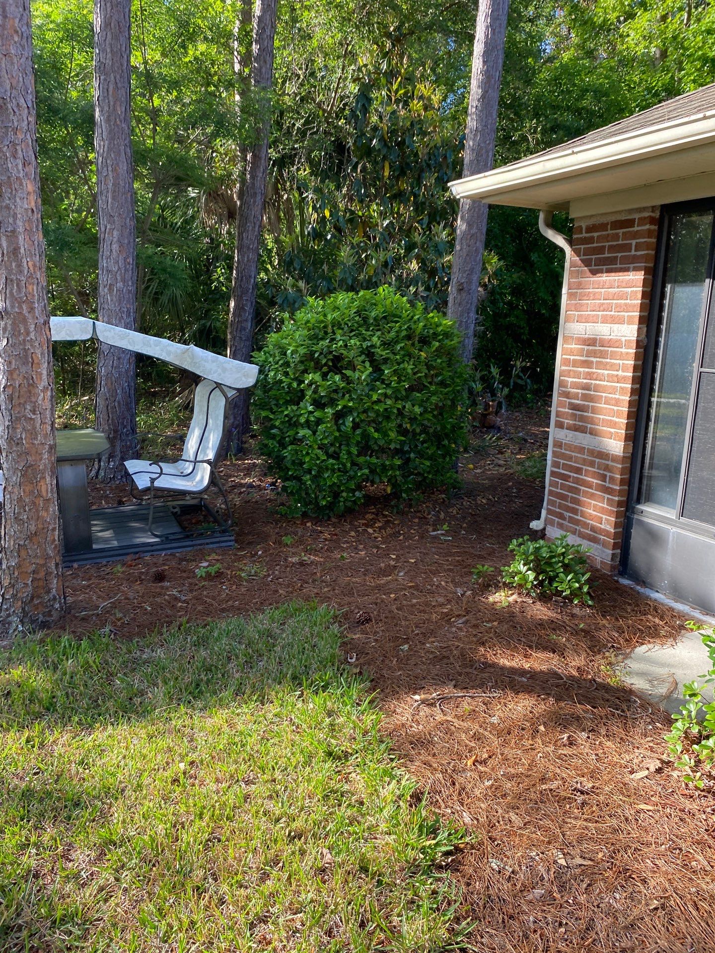 Residential | Volunteer Clean-Up by ProGreen Services