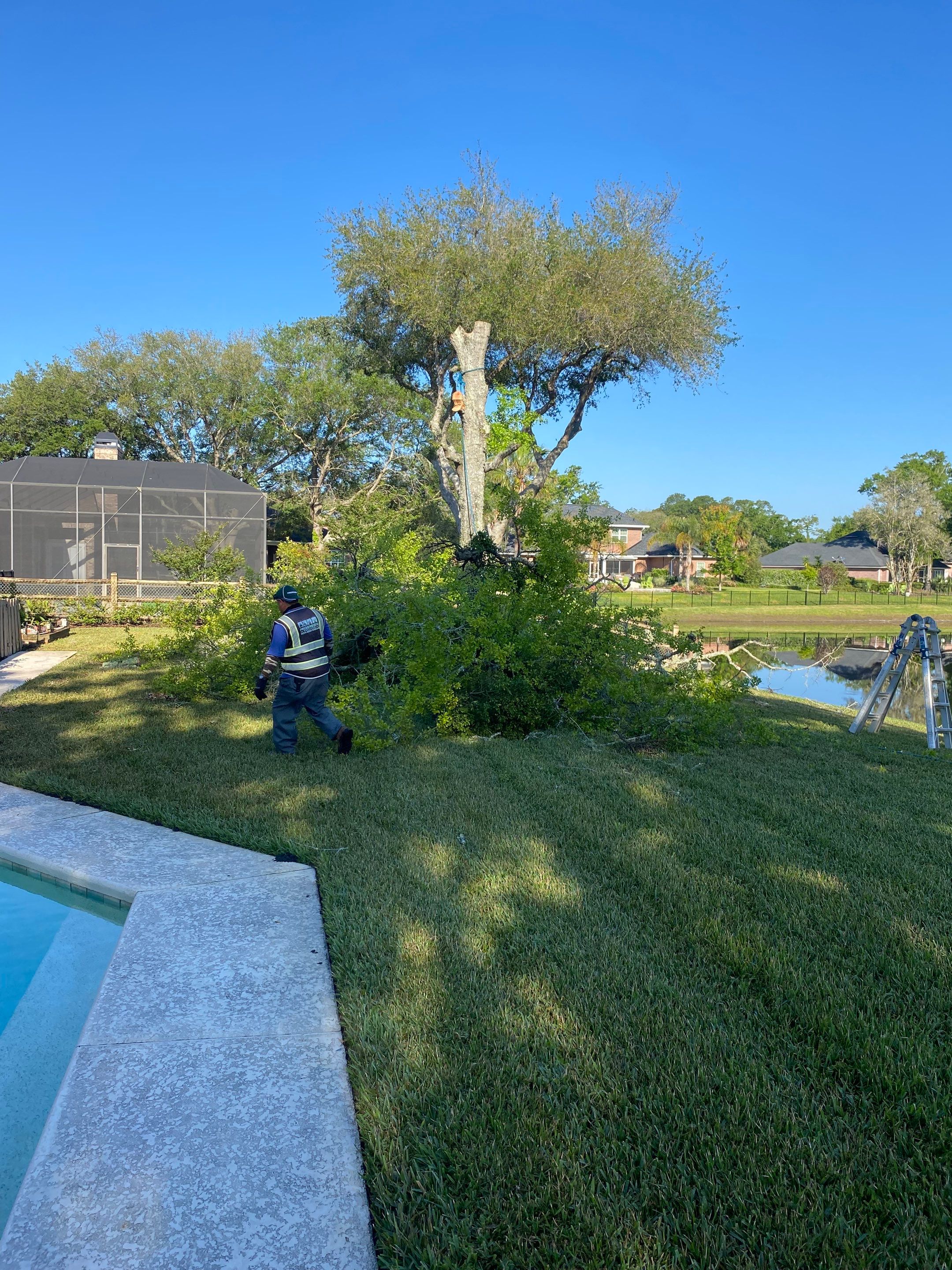 Deerwood Resident | Tree Trimming and Sod Installation) by ProGreen Services