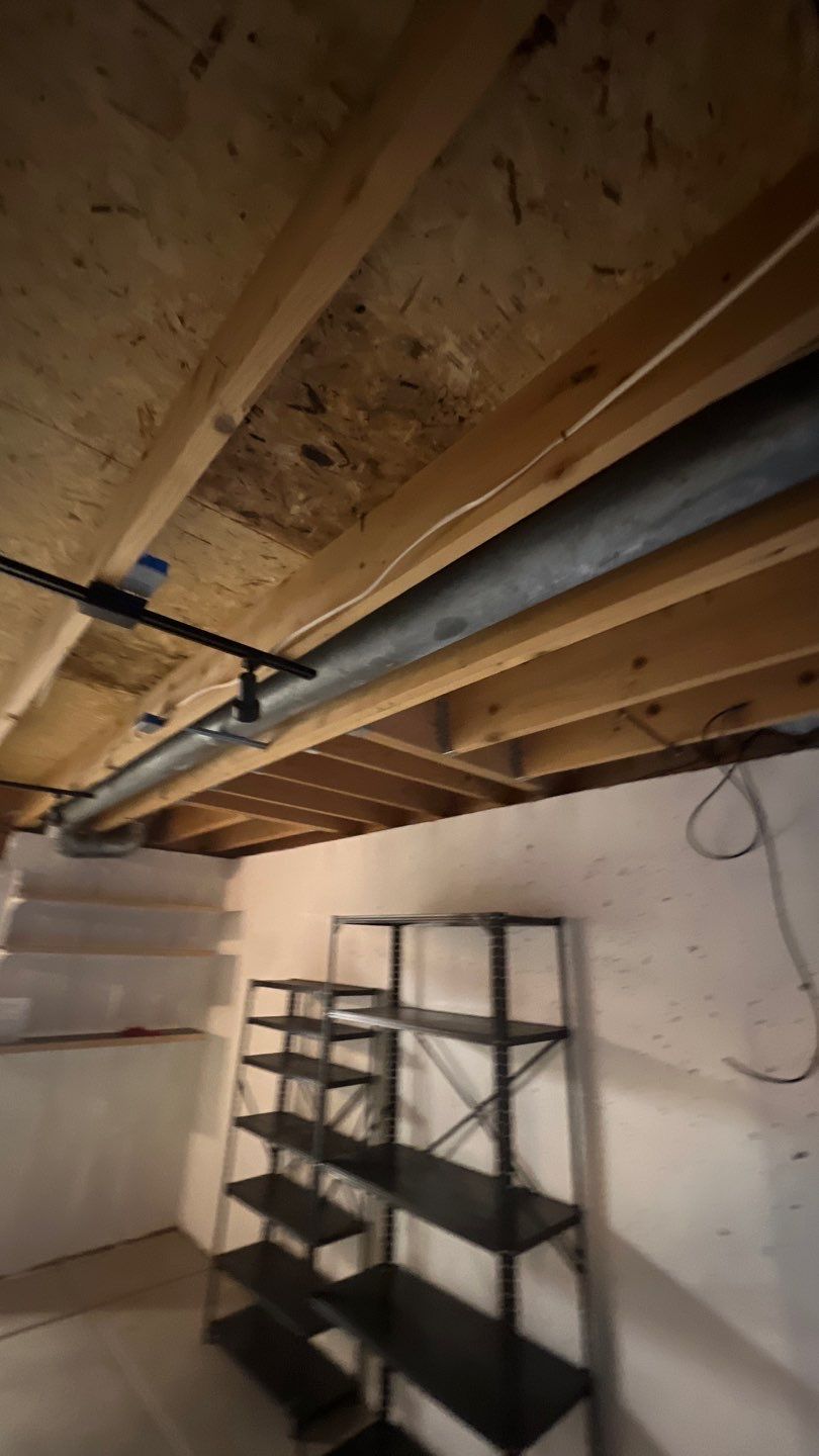 Mold Damage by Accountable Home Services