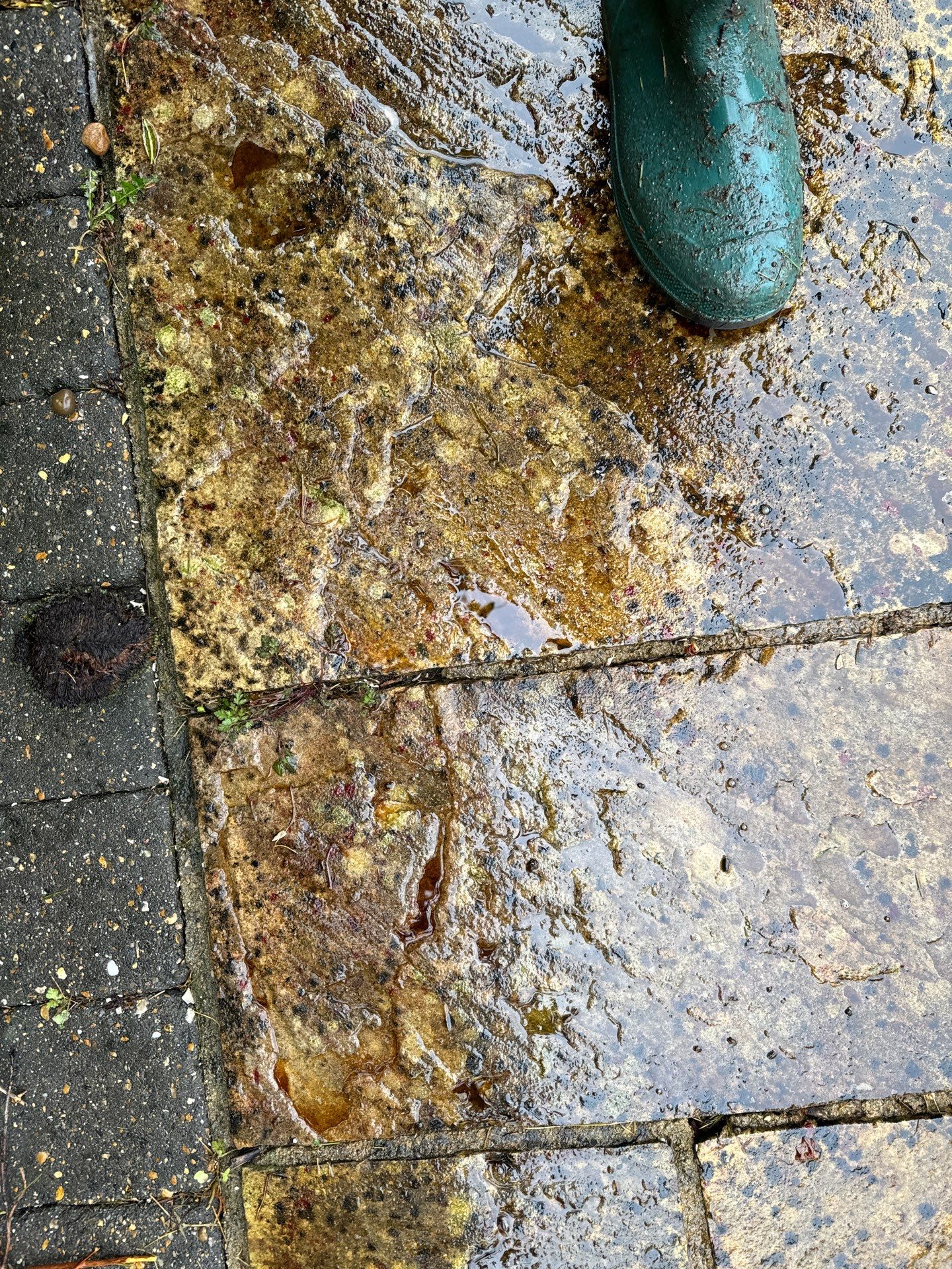 Exterior Clean - Roof - Patio - Driveway using honda 21 ltr/min by Ges Exterior Cleaning ltd