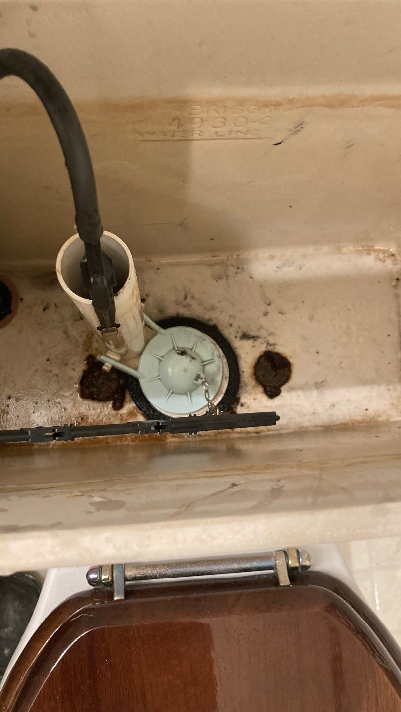 Various Plumbing & Flooring Tasks by Bayfront Home Repair