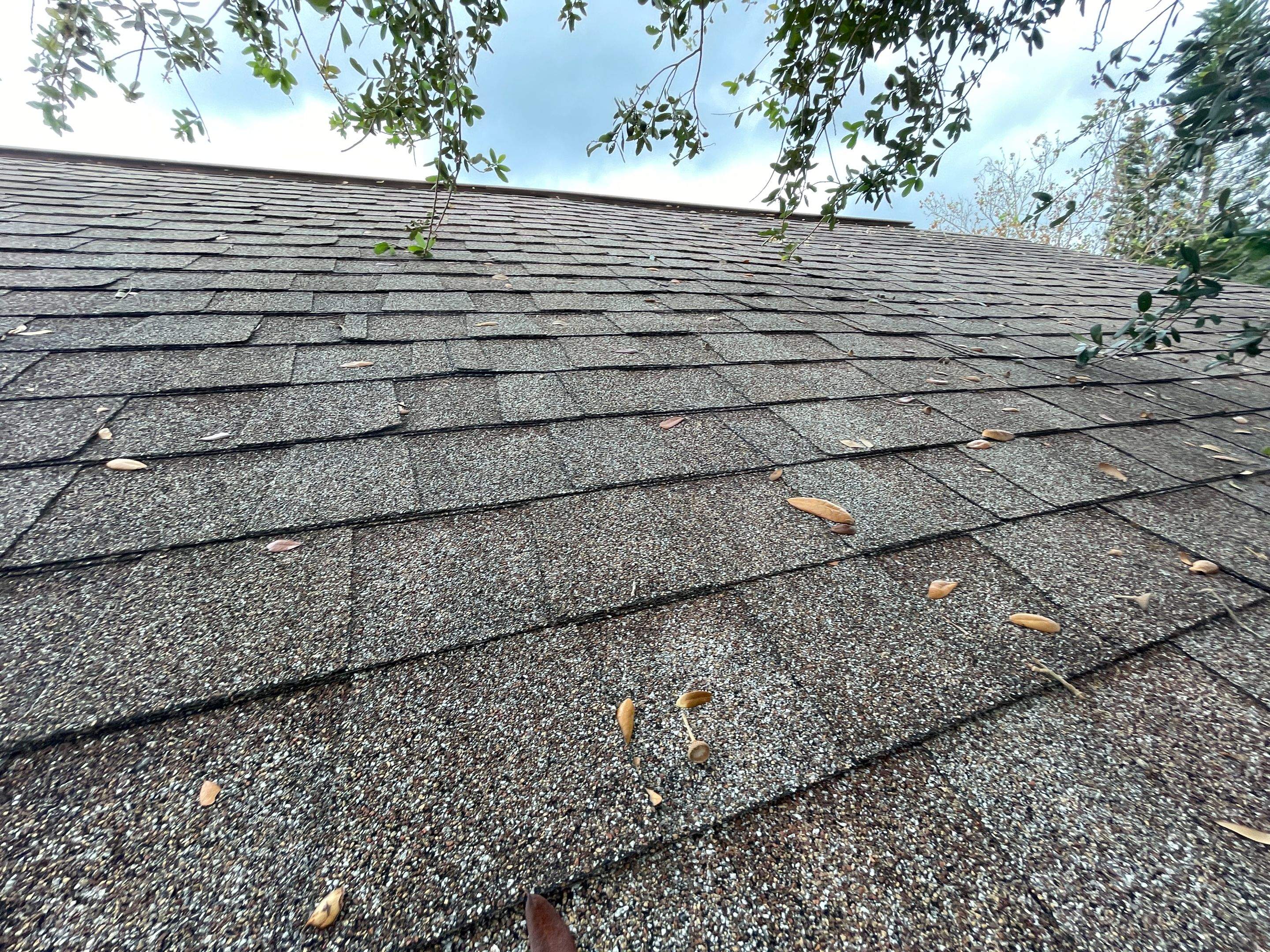 Water Damage Claim in Holiday by FLAPA & KeyStone