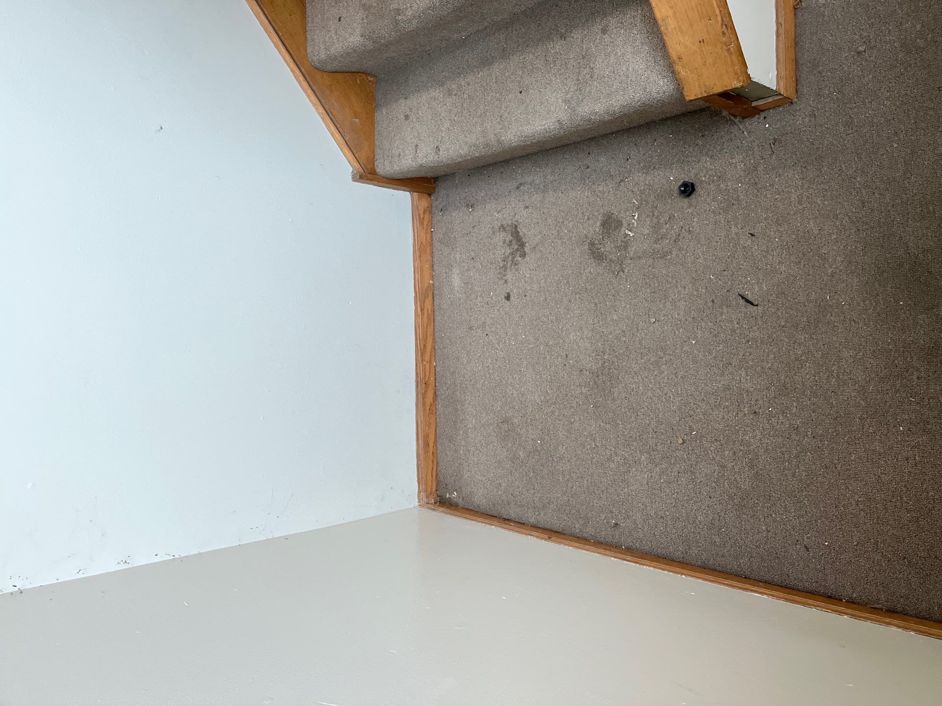 Project in Chicago by Xo Clean Services 