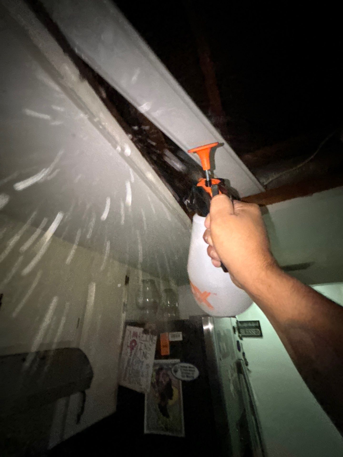 Mold Removal In Sarasota Florida by Ampm Restoration Services