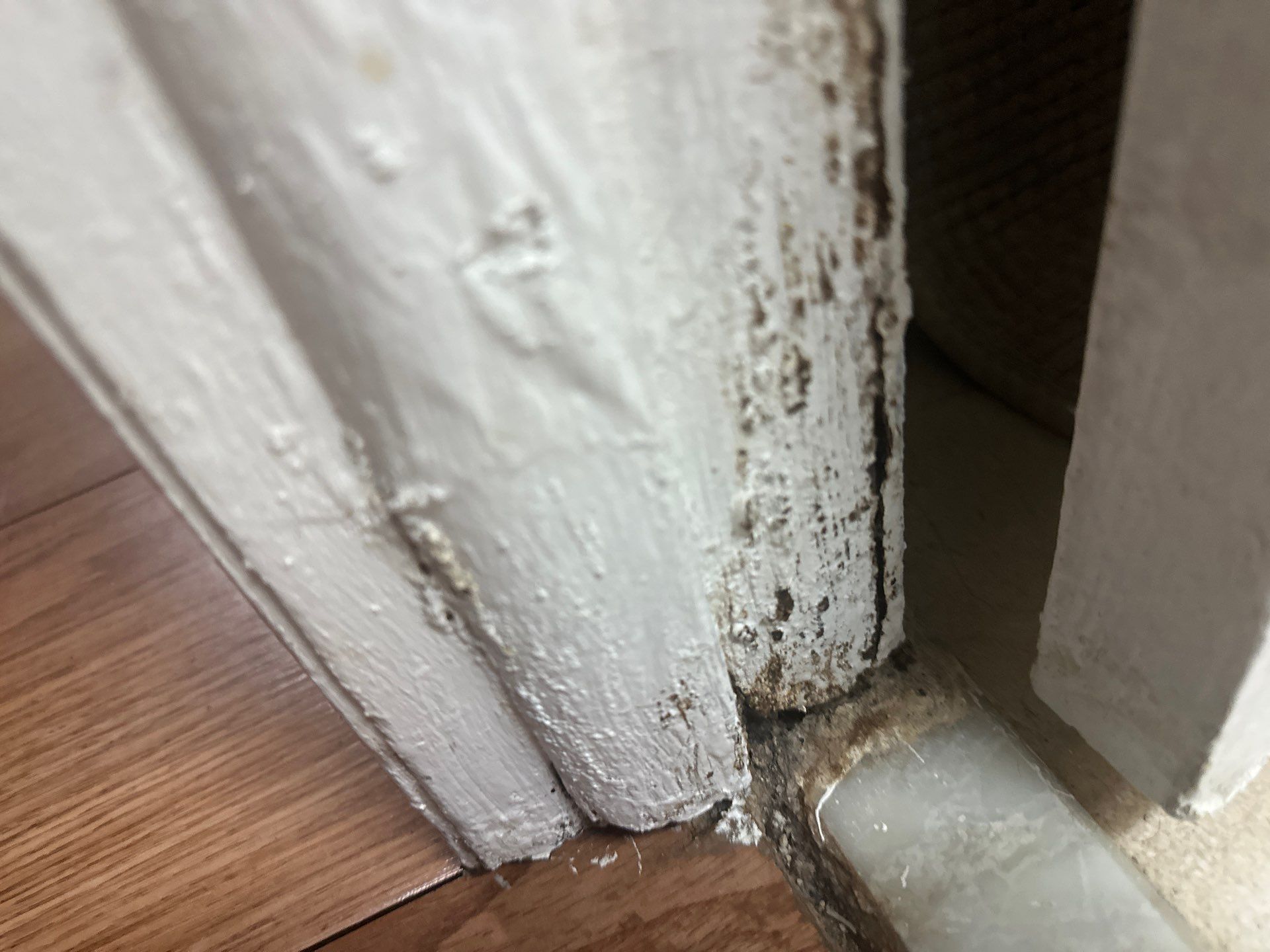 Water Damage Claim in Miami by FLAPA & KeyStone