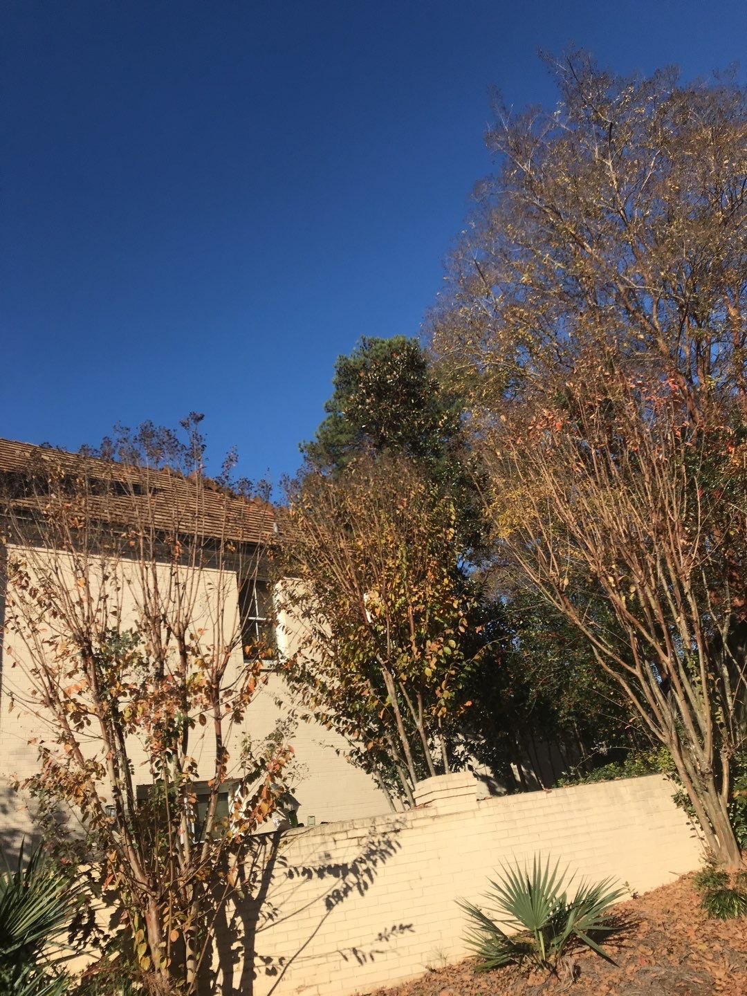 Residential Cedar Shake Roof Installation | Madison, MS by Watkins Construction & Roofing