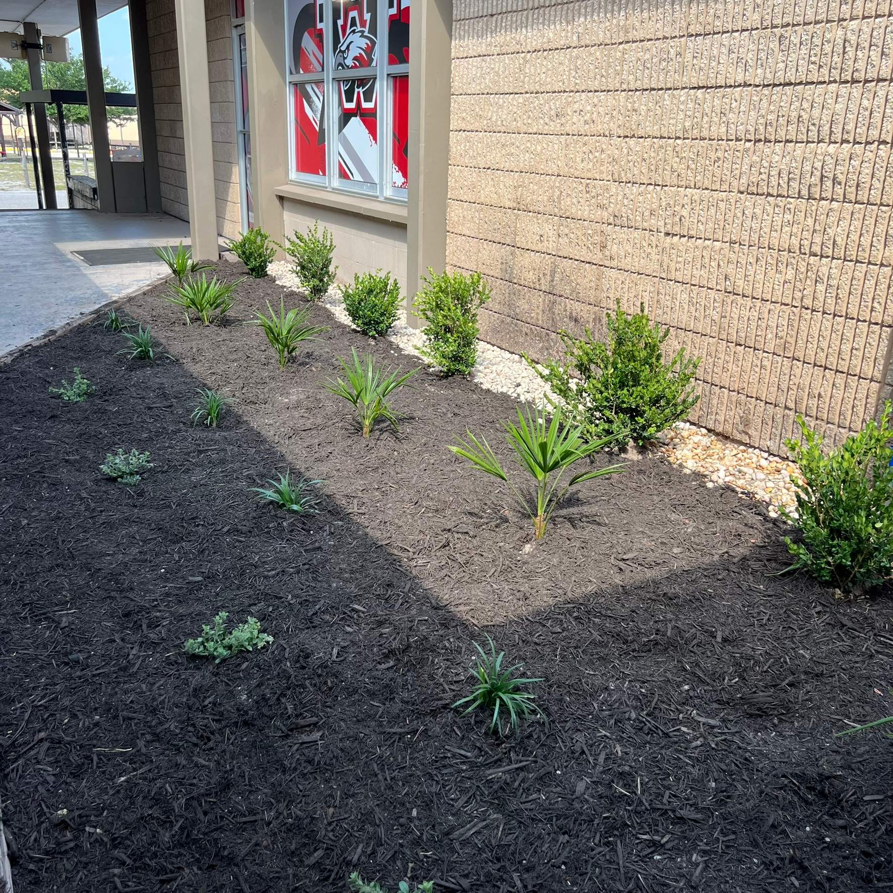 Landscape Install | Wilkinson JHS by ProGreen Services