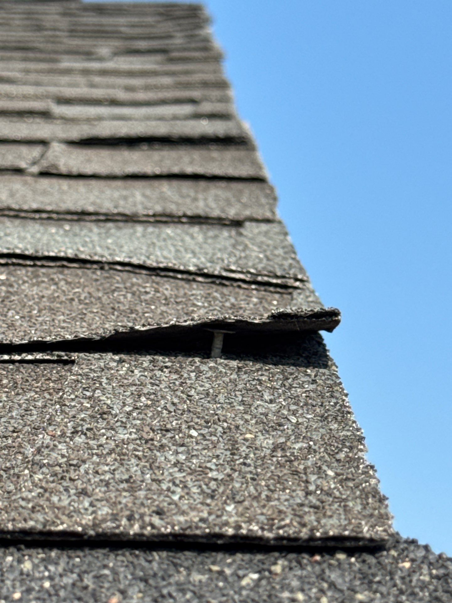 Full Residential Roof Replacement with Architectural Shingles in Meridian by Olive Roofing