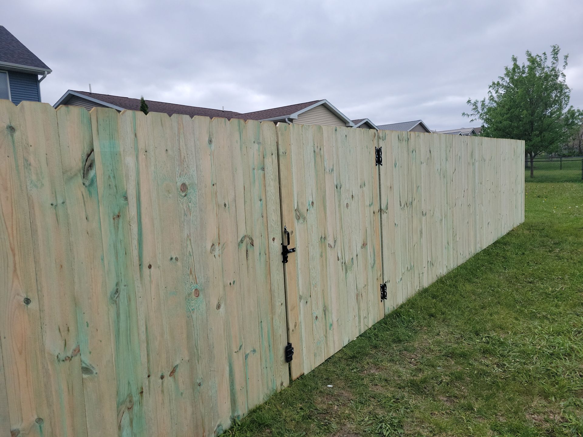 Pressure-Treated Wood Privacy Fence Installation in Waterloo by Perfect Picket Fence and Stain
